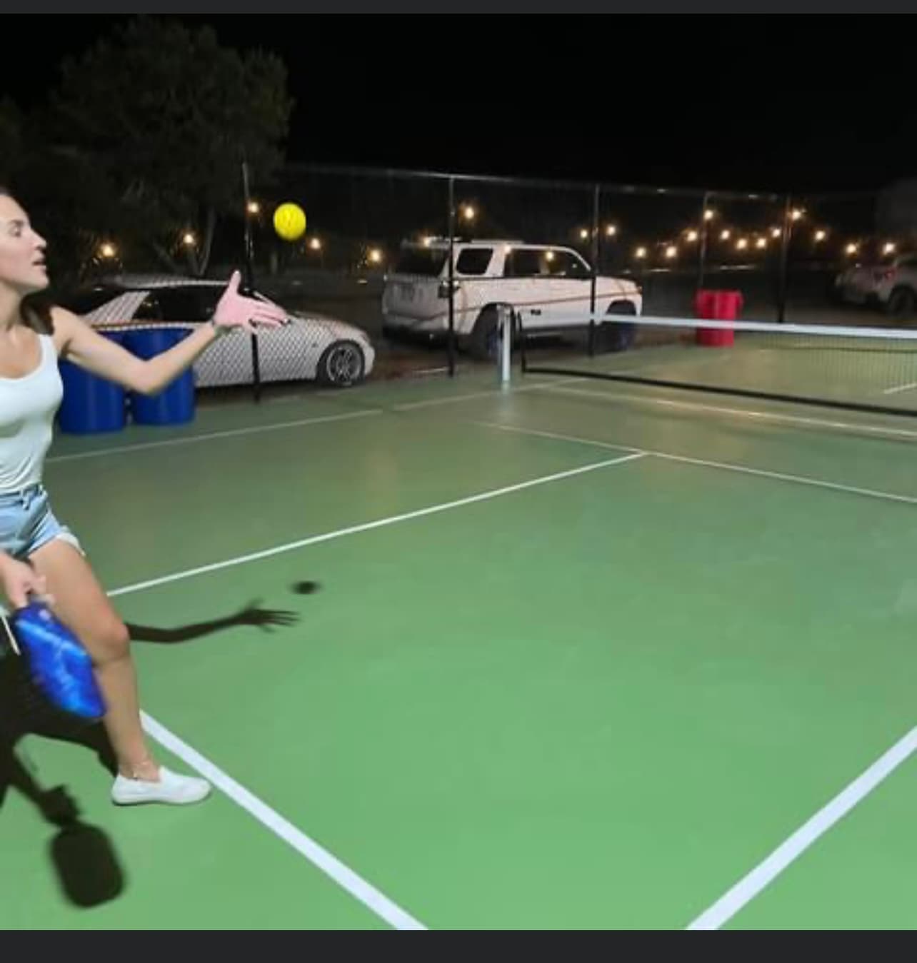 Templeton’s Tavern pickleball courts