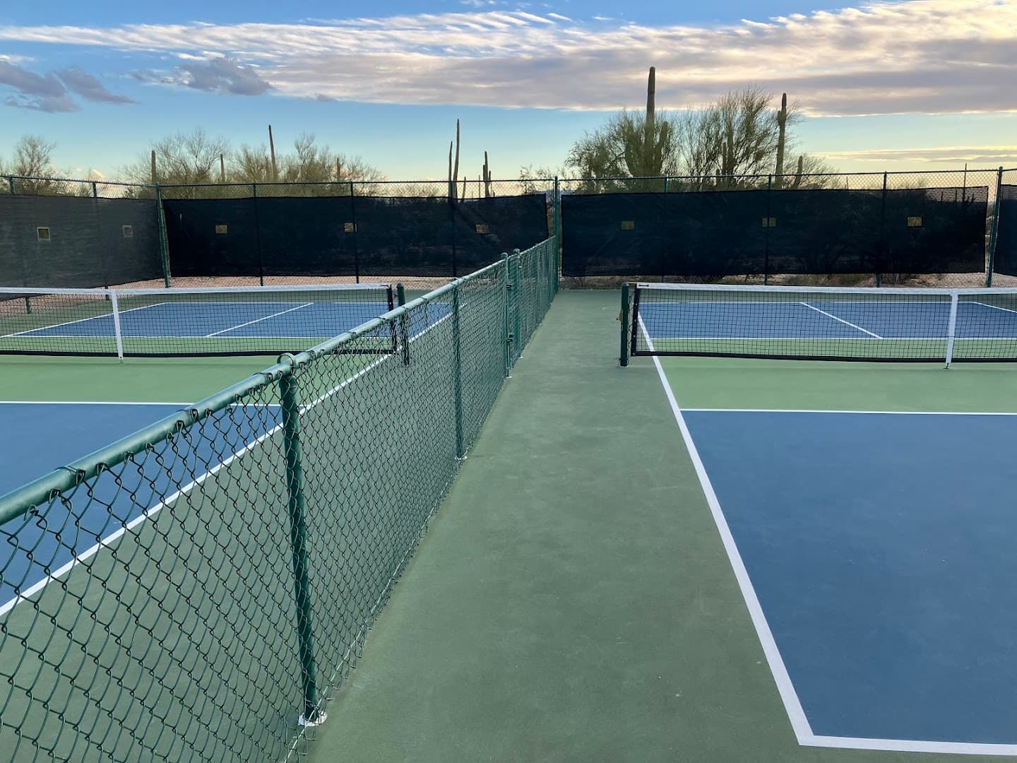 Dove Mountain West Park pickleball courts