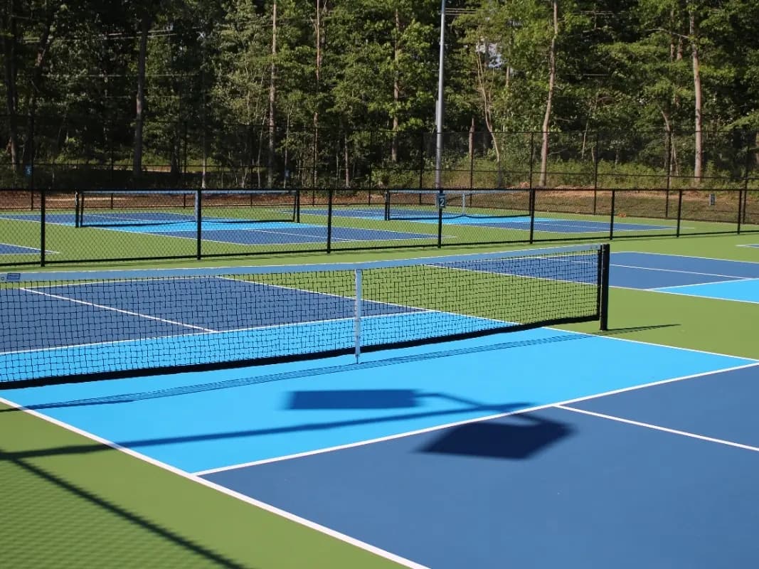 Wardell Park pickleball courts