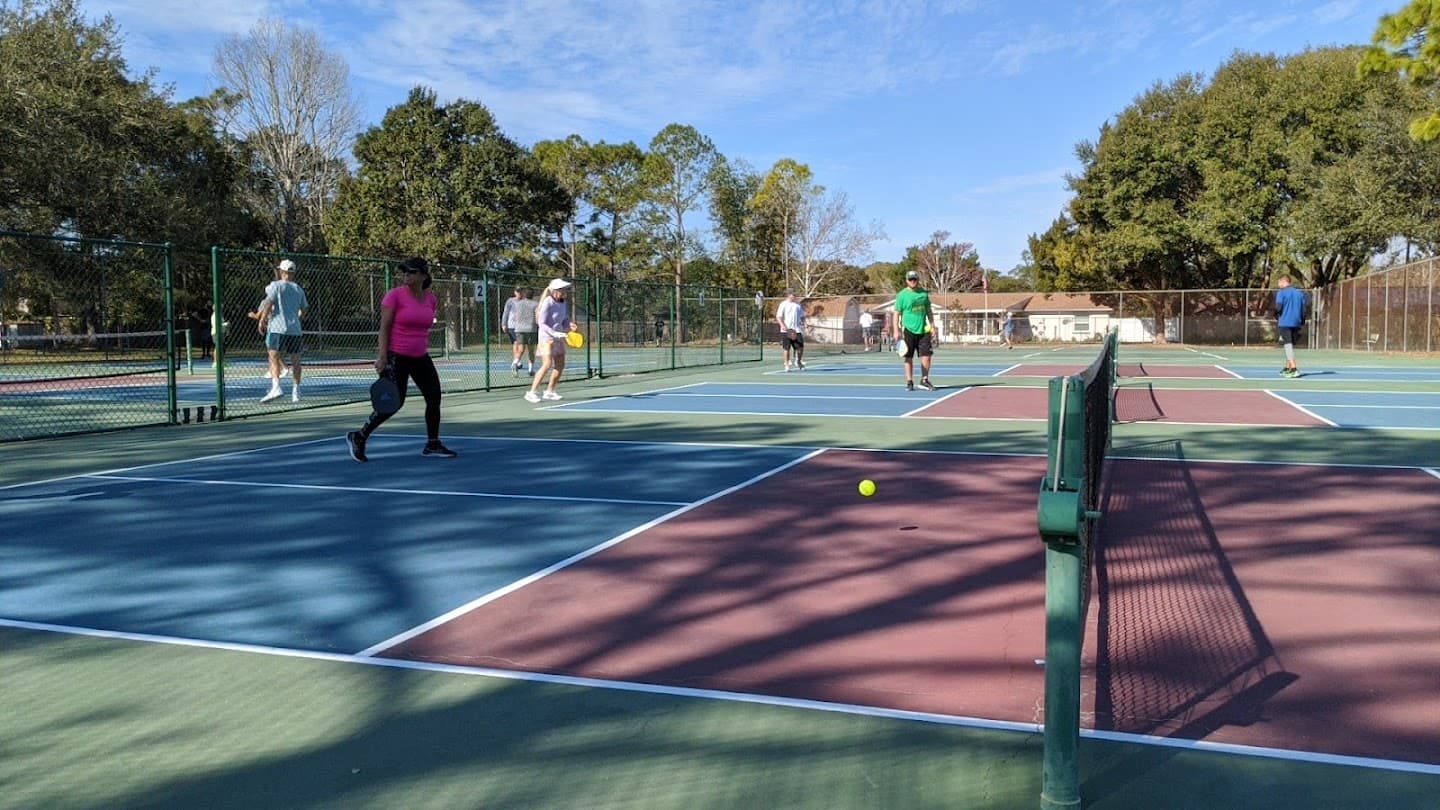 Lee P Moore Park Tennis & Pickleball Courts pickleball courts