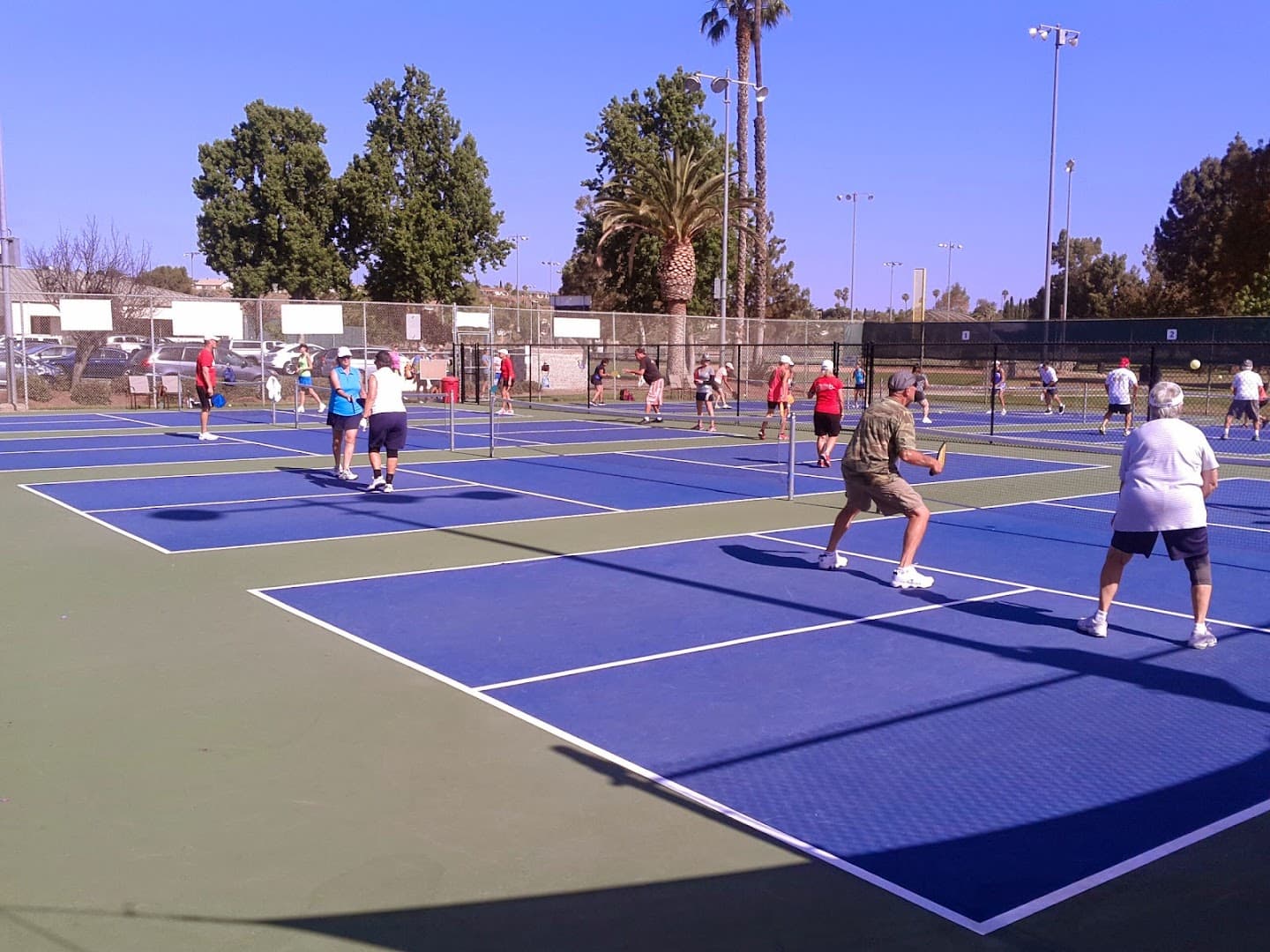 Melba Bishop Park pickleball courts