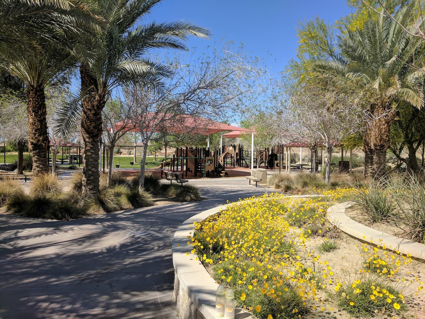 George S Patton Park pickleball courts