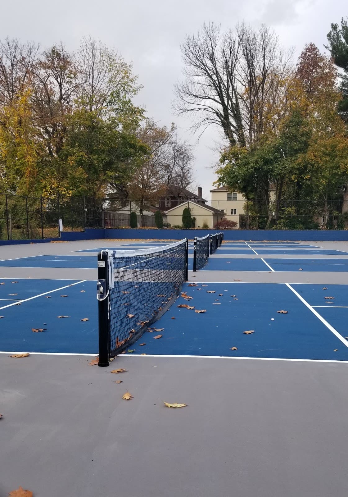 Tamblyn Field pickleball courts