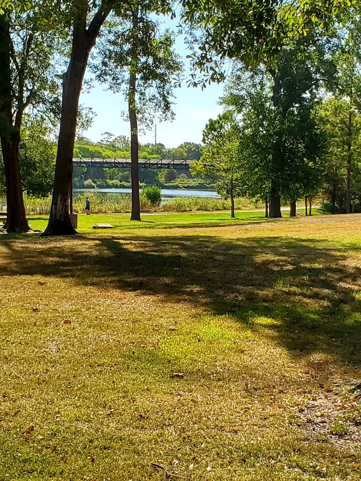 Mason Park pickleball courts