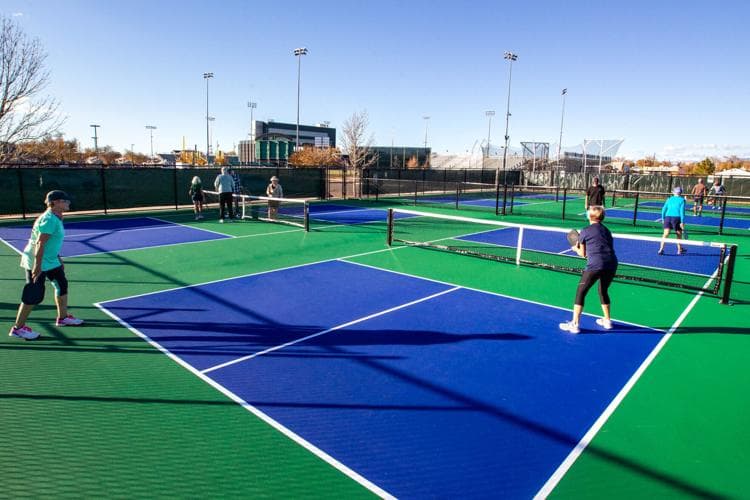 Lincoln Park Pickleball Courts pickleball courts