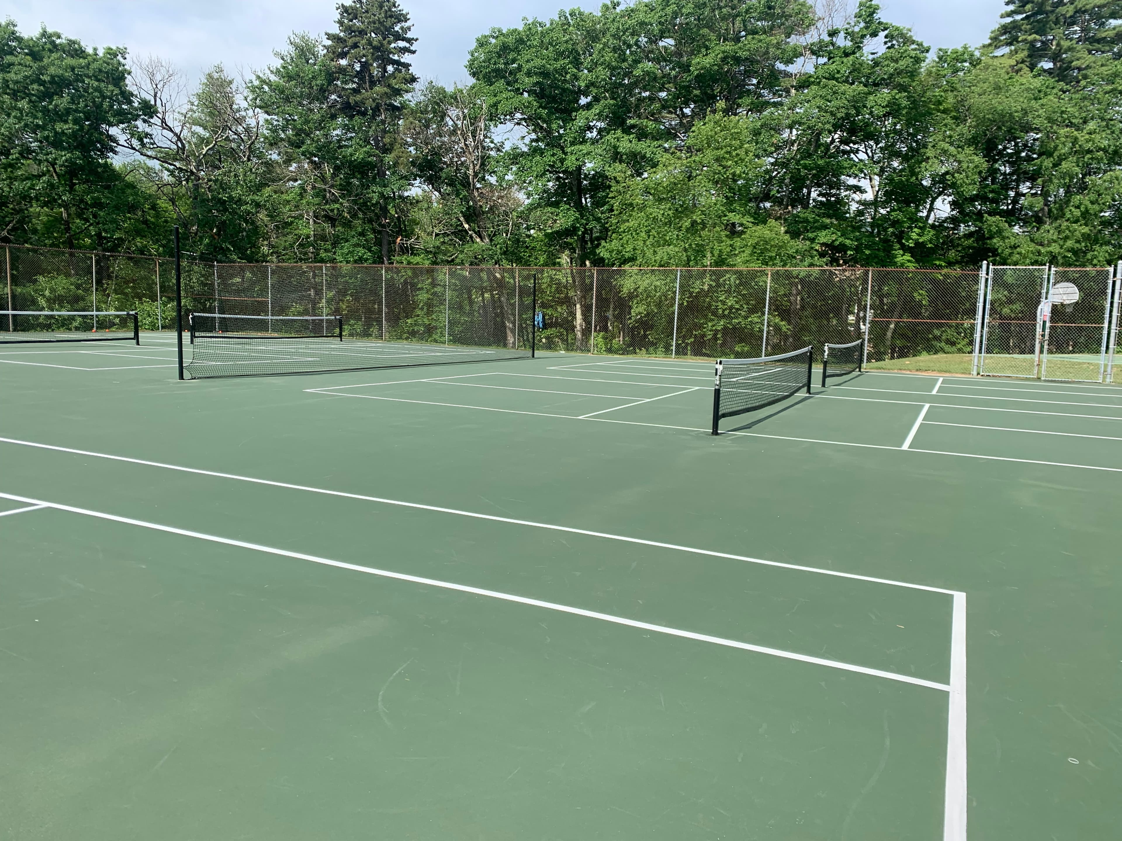 Davis Park pickleball courts