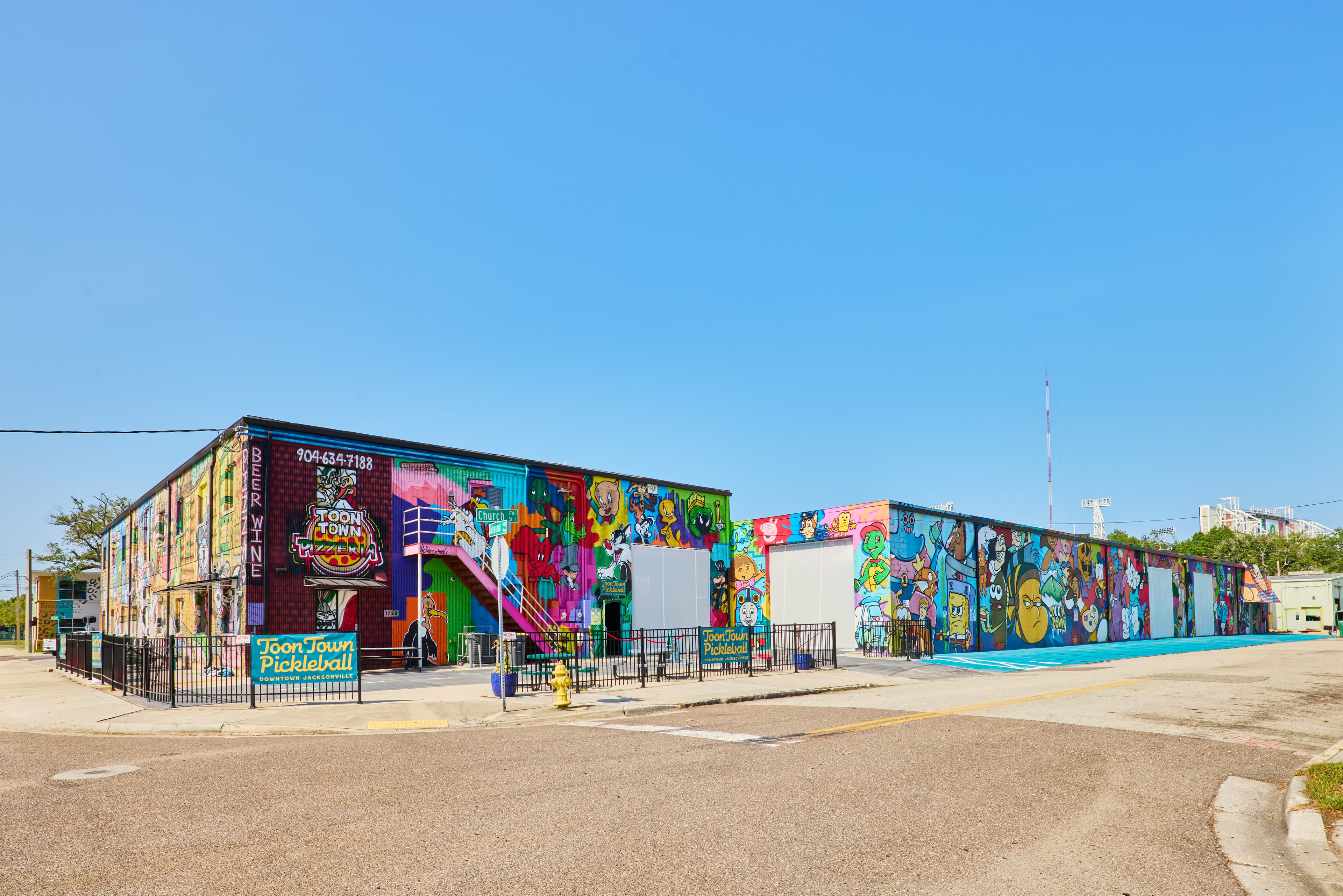 Toon Town Pickleball pickleball courts