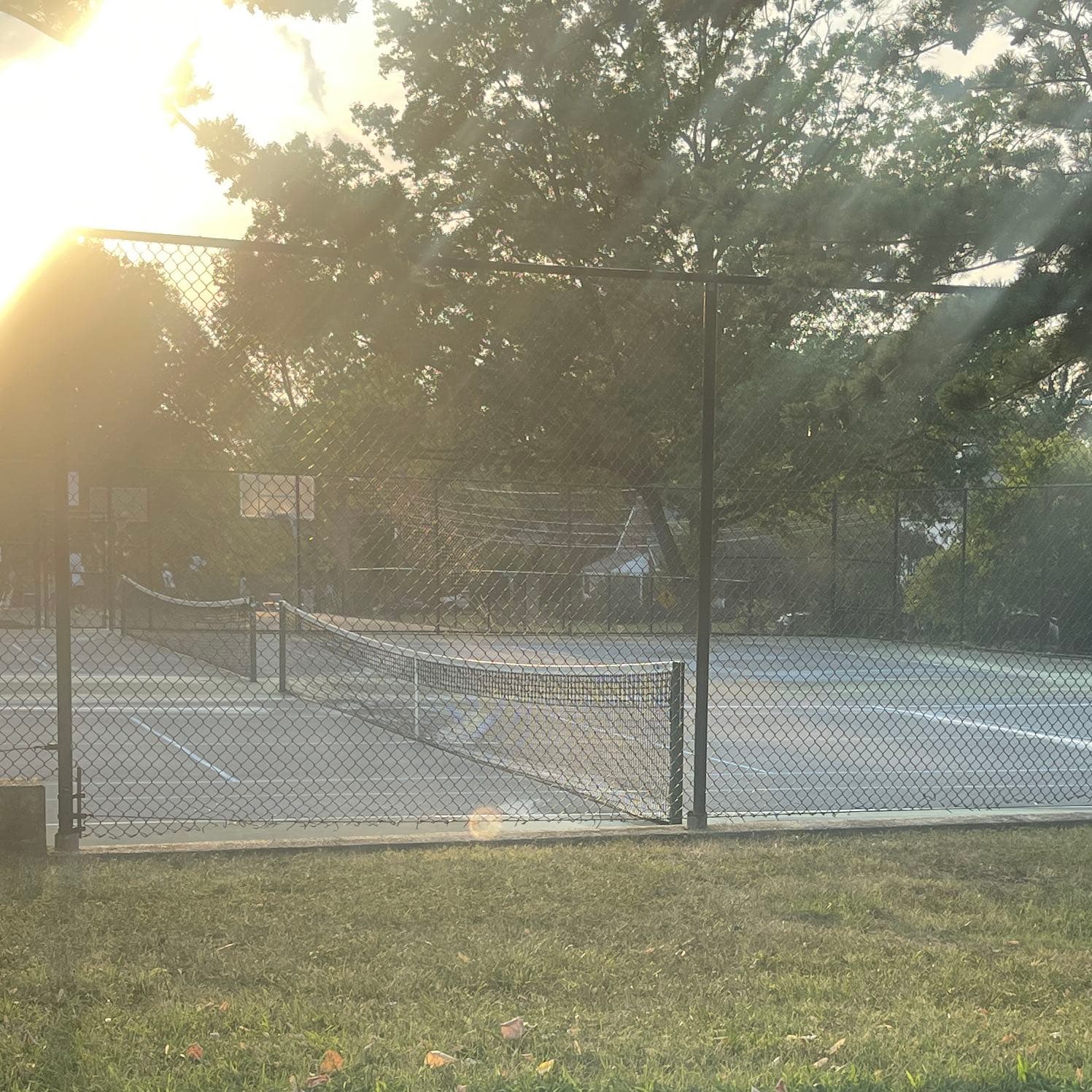 Argyle Local Park pickleball courts