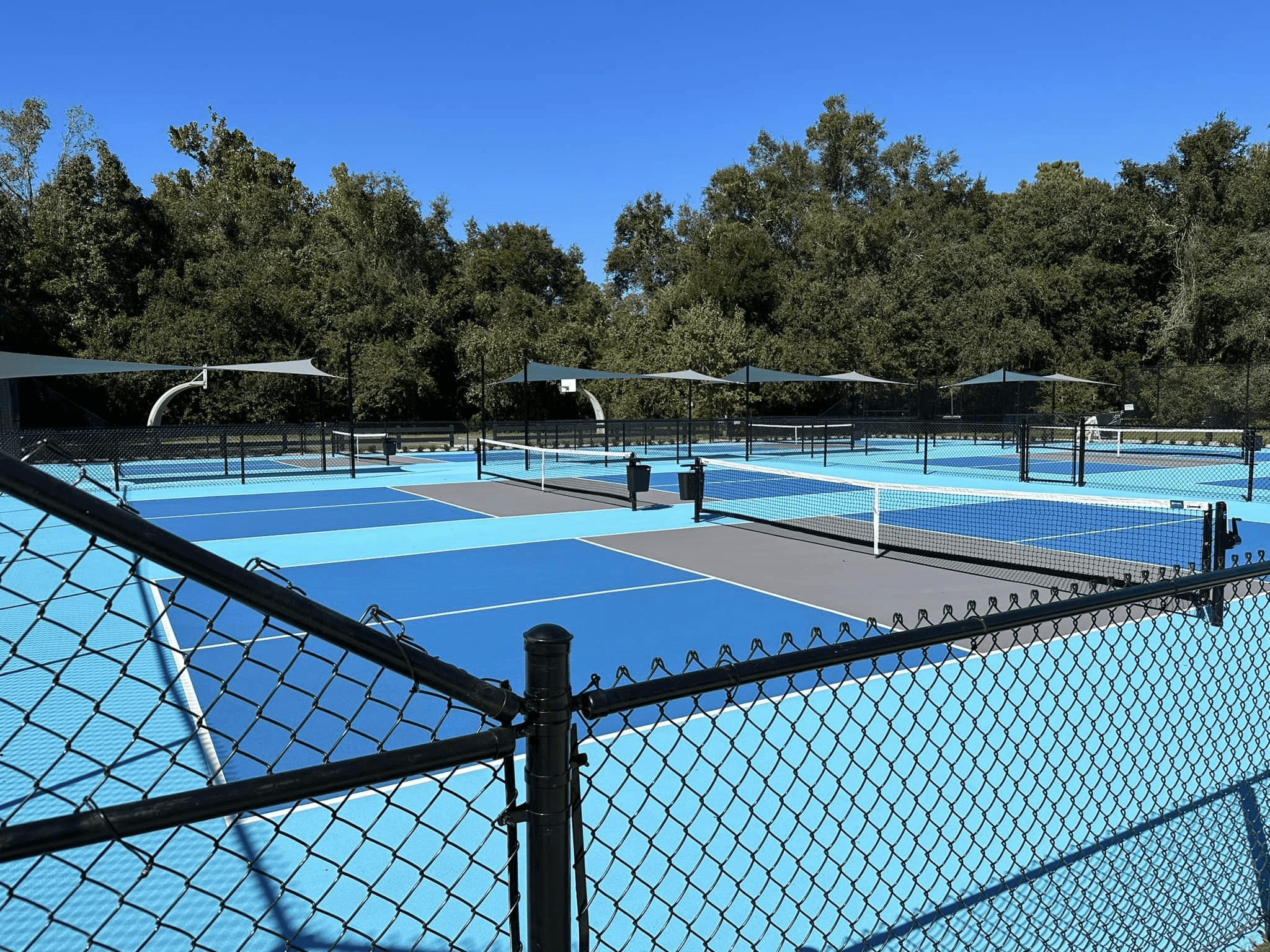 Hilton Head Island Park (Adrianna) pickleball courts