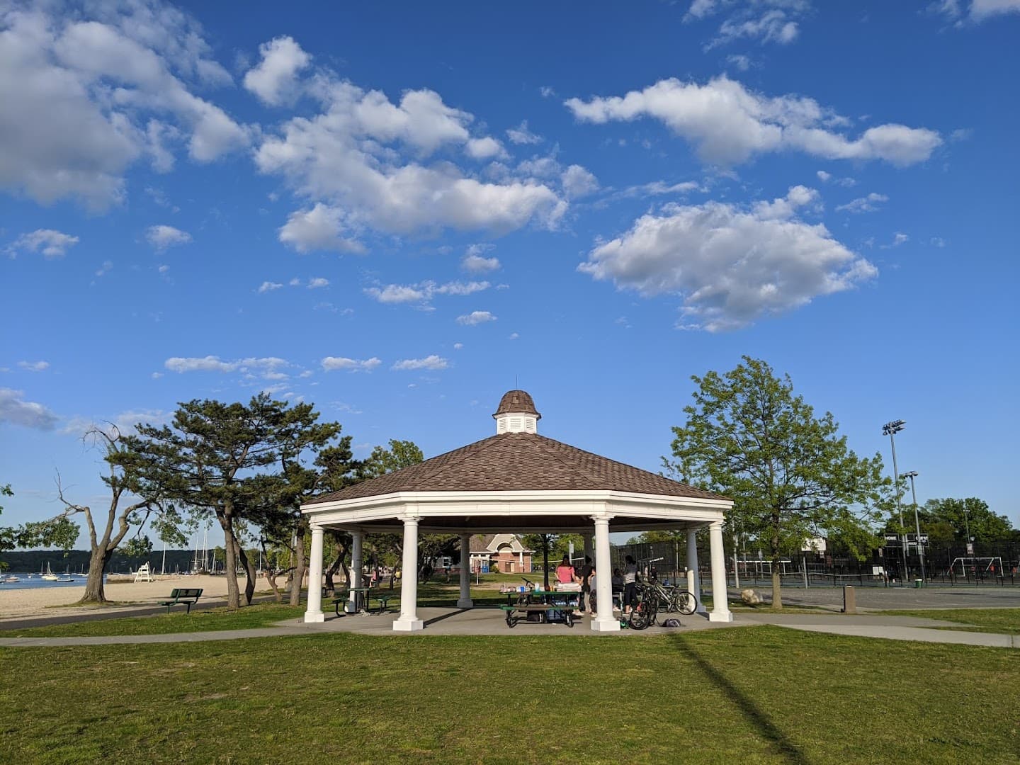 Theodore Roosevelt park pickleball courts