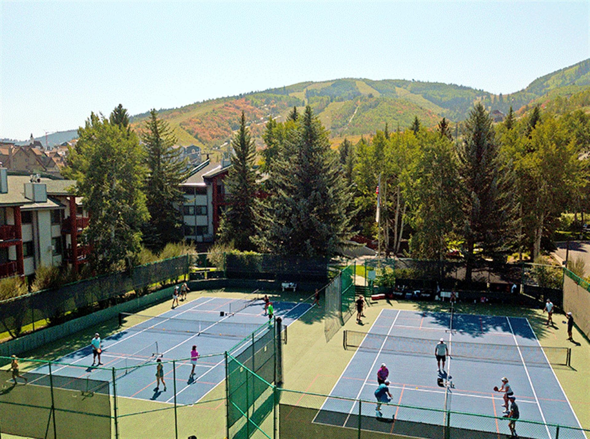 Snow FLower Condominium Complex pickleball courts
