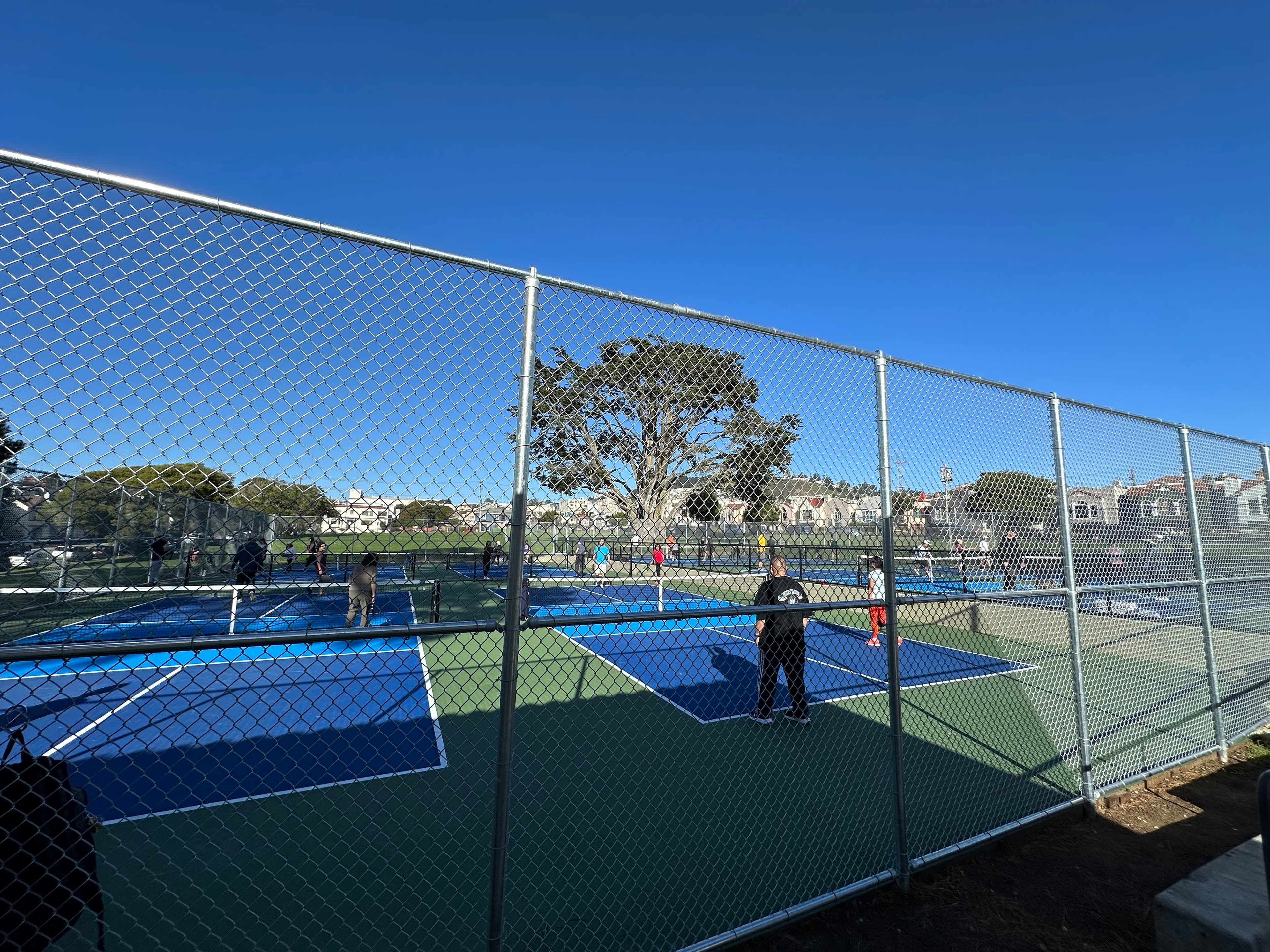 Carl Larsen Playground pickleball courts