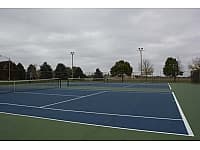 Peck Park pickleball courts