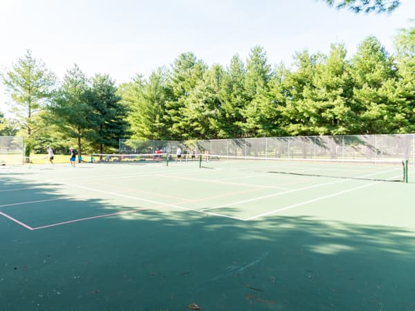 WinterPlace Park & Equestrian Center pickleball courts
