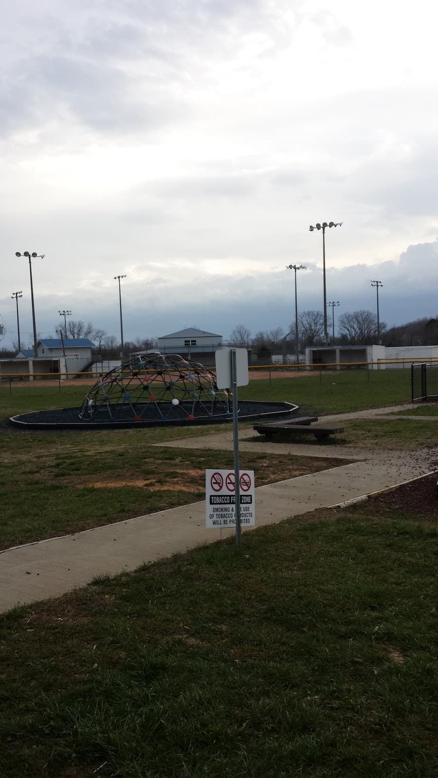 Mountain View Park Court pickleball courts