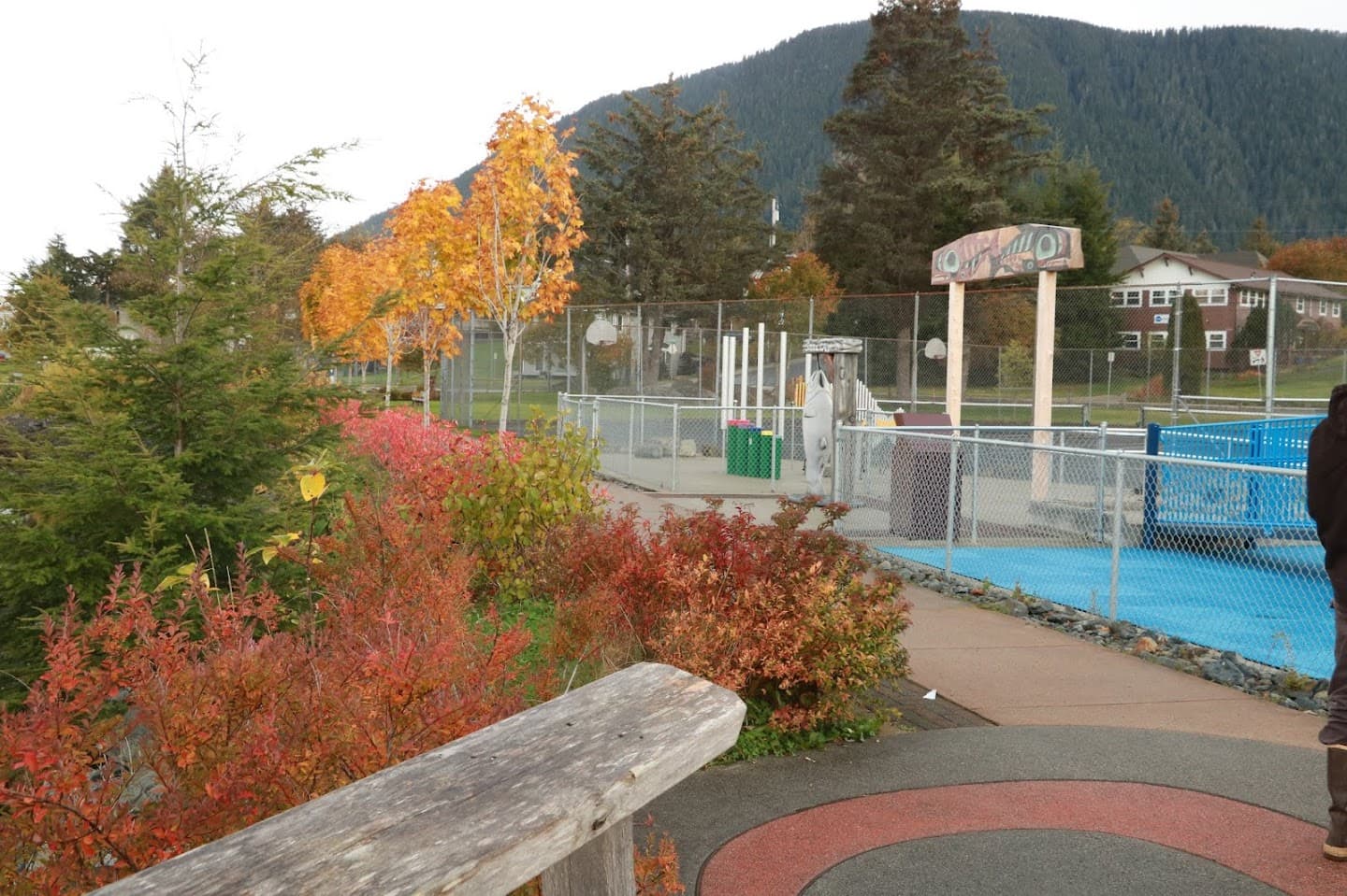 Cescent Harbor Park pickleball courts