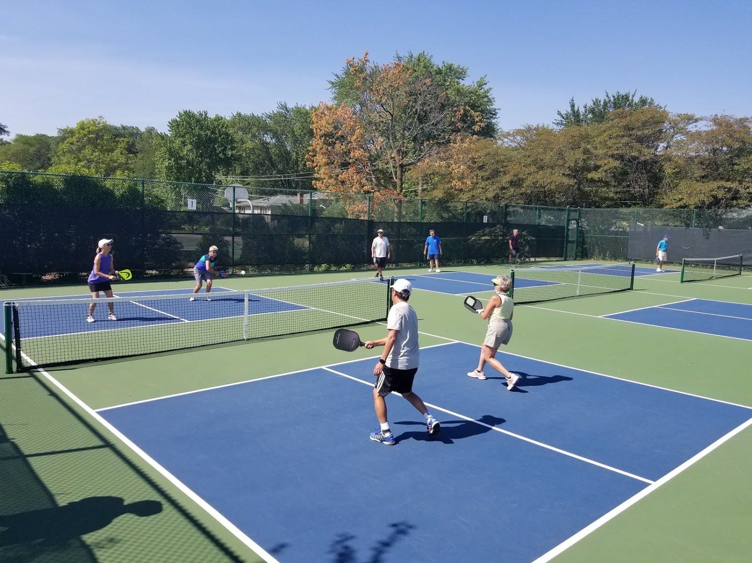 Flick Park pickleball courts