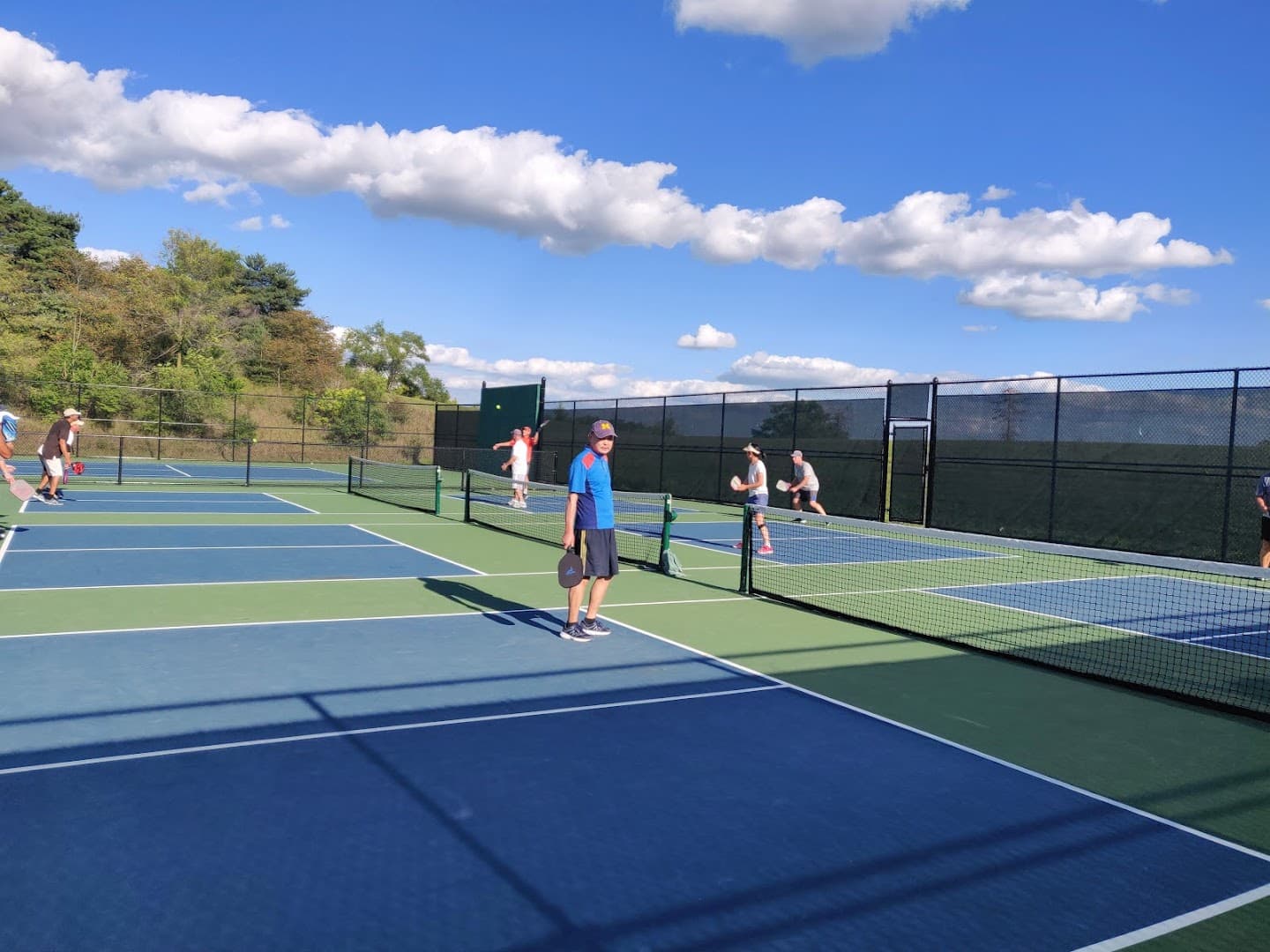 Leslie Park pickleball courts