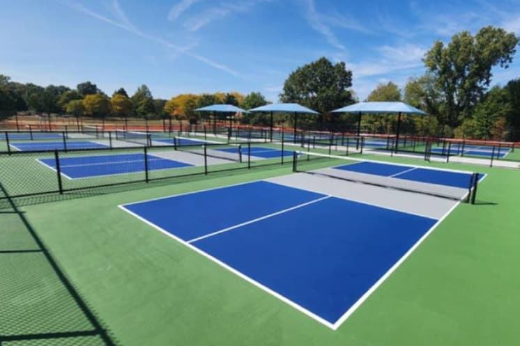 Hudson Mills Metropark pickleball courts
