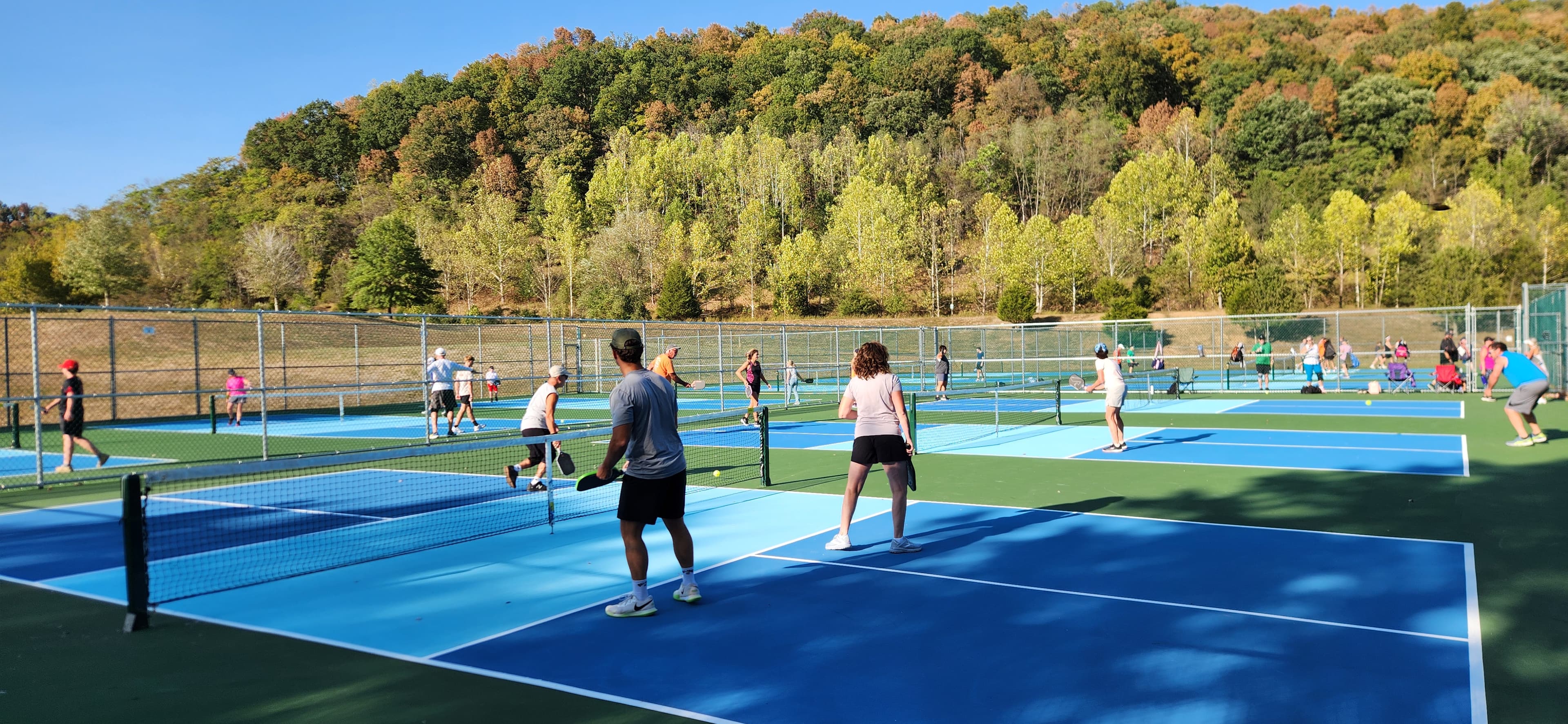 Barboursville Park pickleball courts