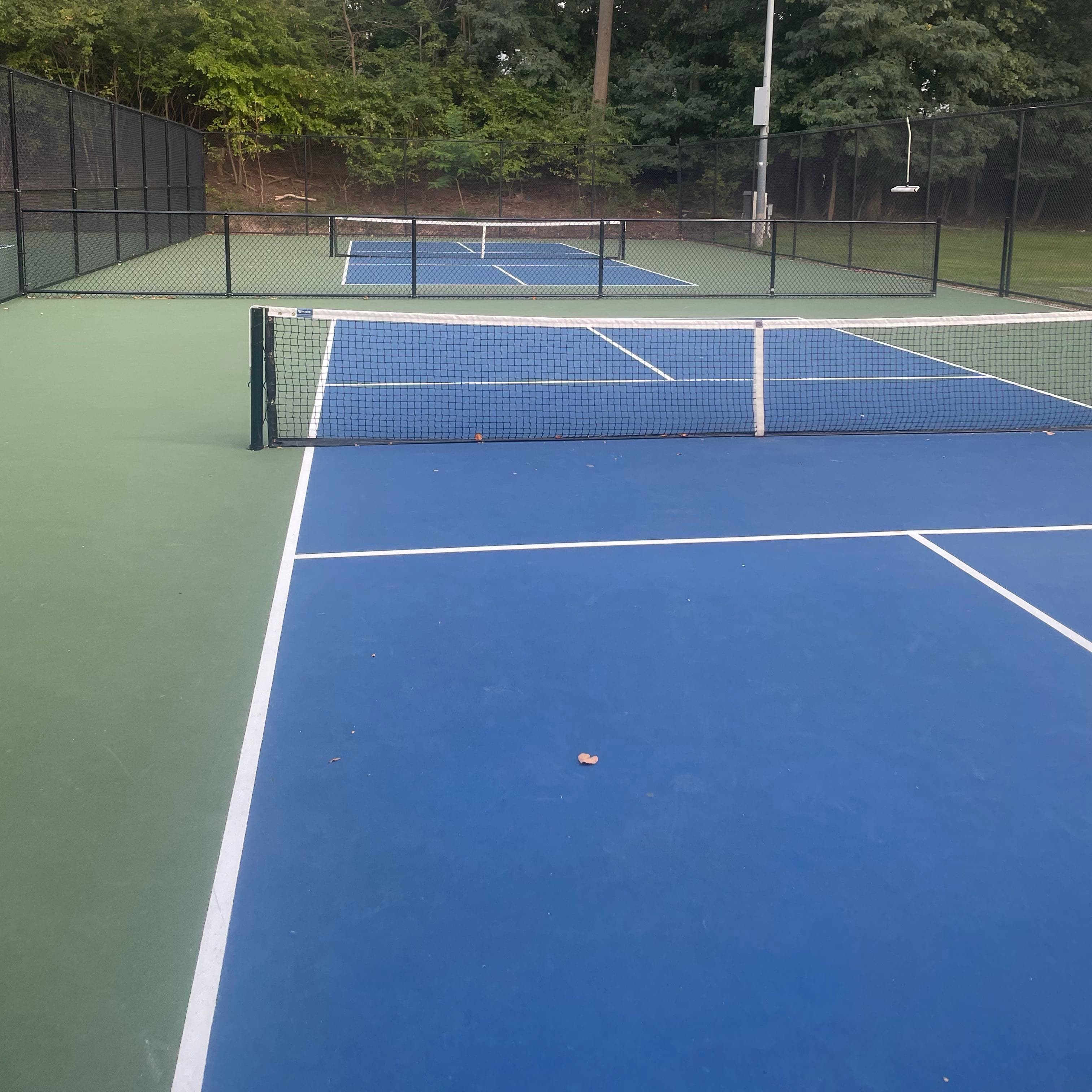 Verona Park pickleball courts