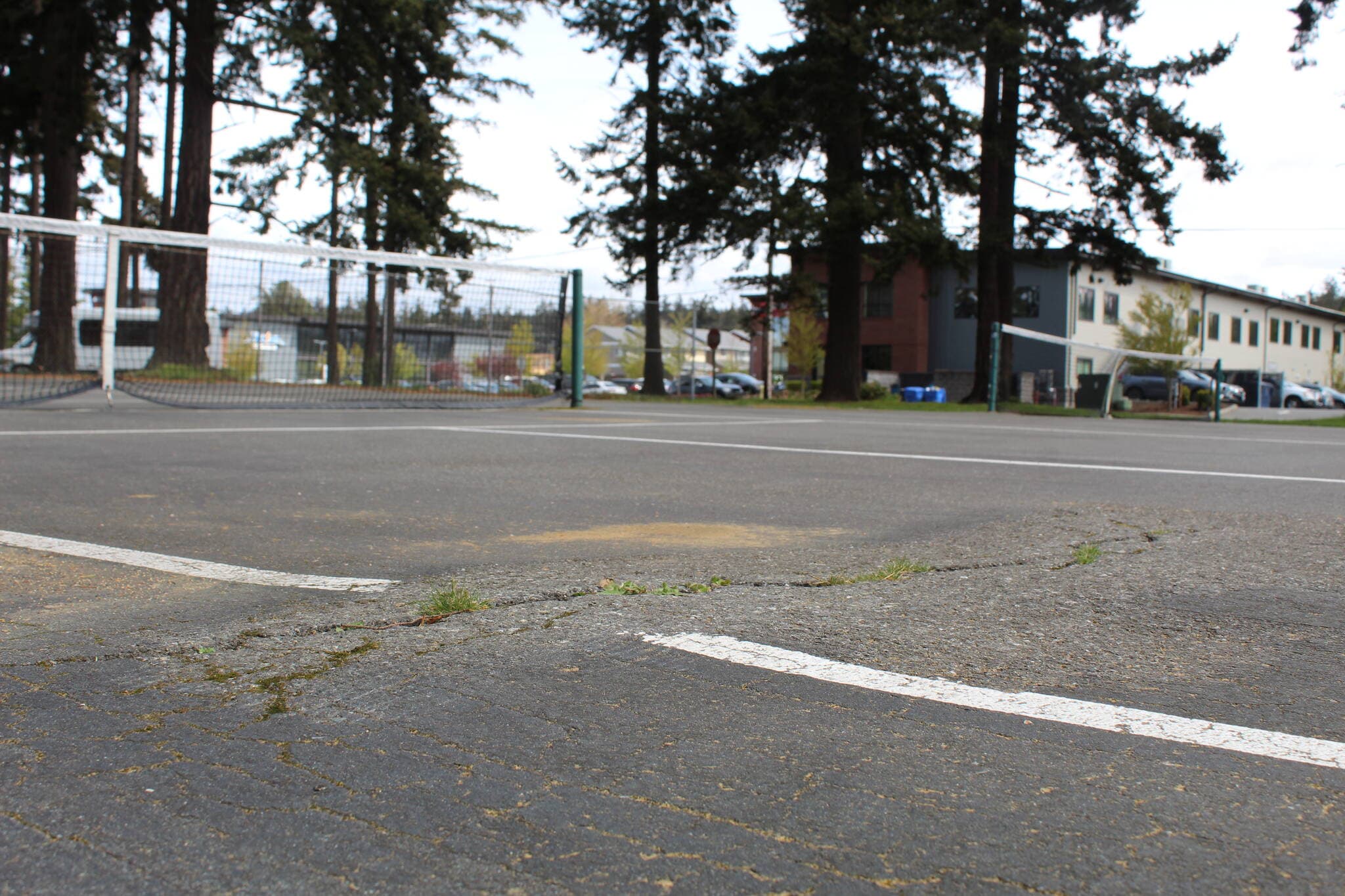 Rotary Park at North Whidbey Middle School pickleball courts