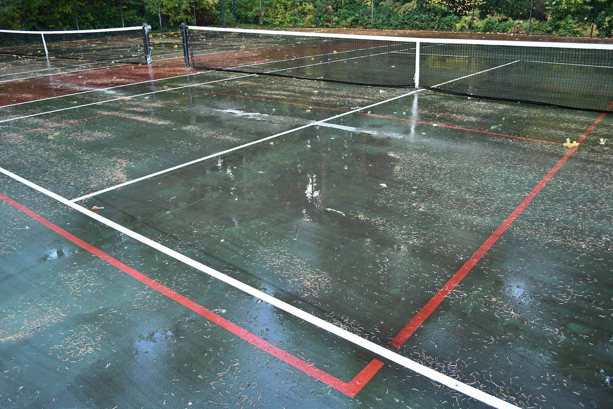 Hales Pass Park pickleball courts