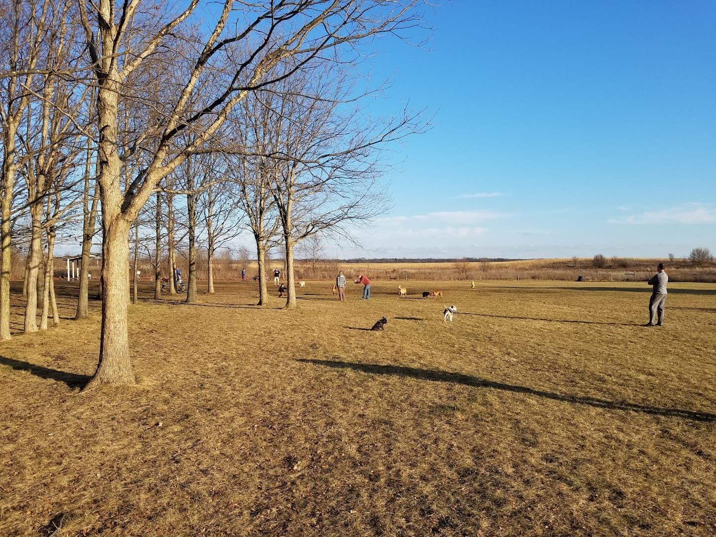 West Maine Community Park pickleball courts