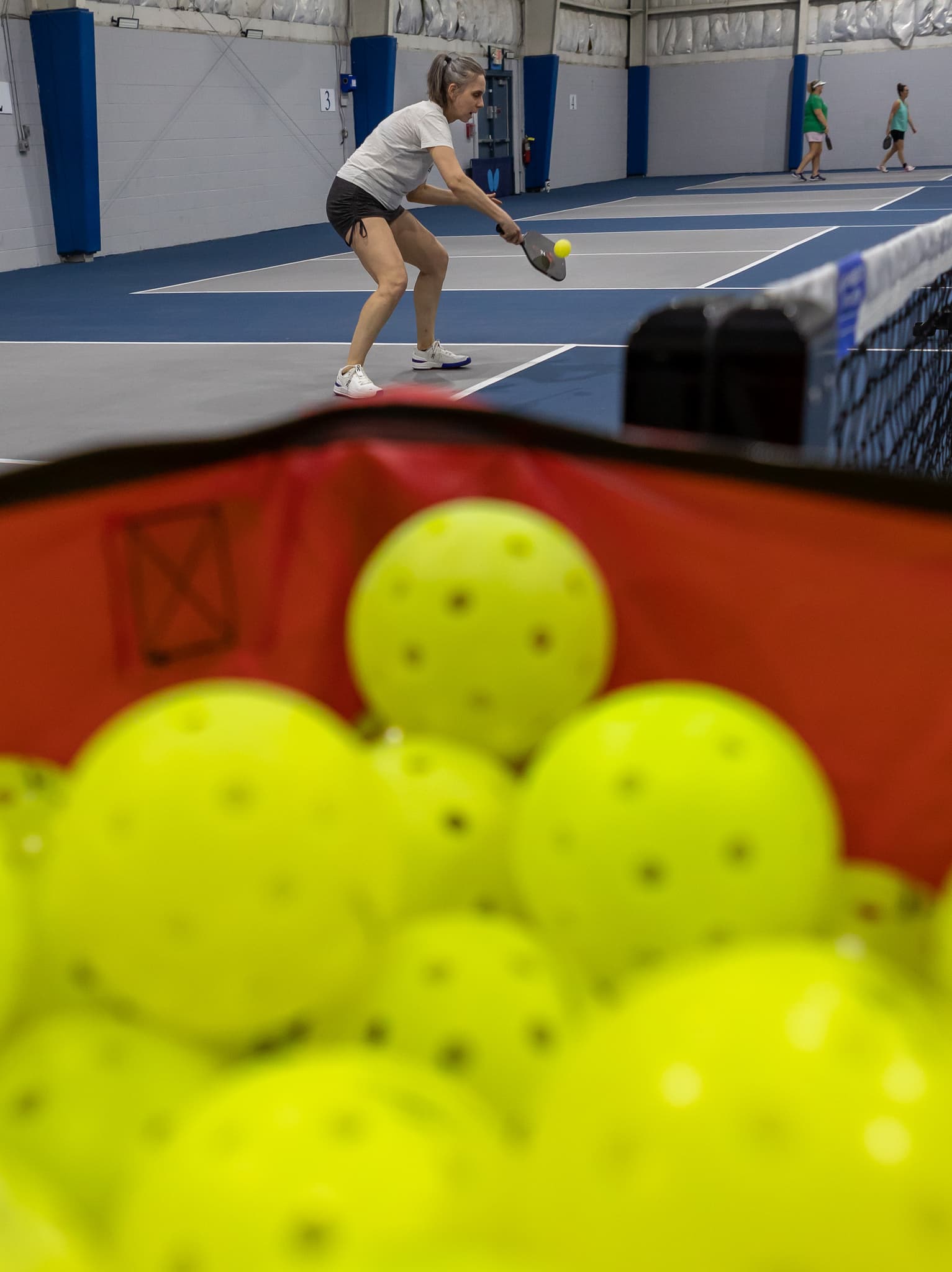 Livonia Athletic District pickleball courts