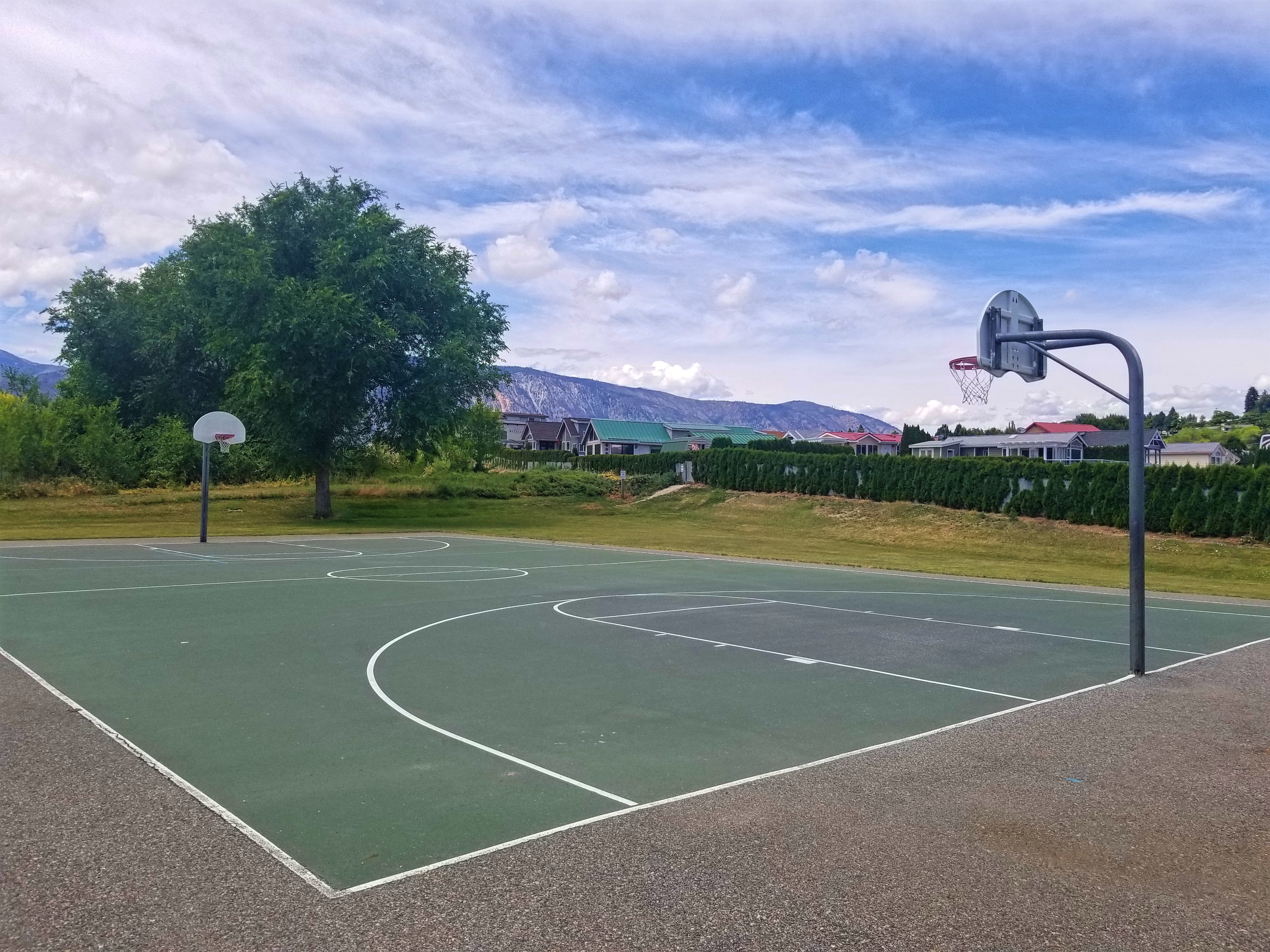 Singleton Park pickleball courts
