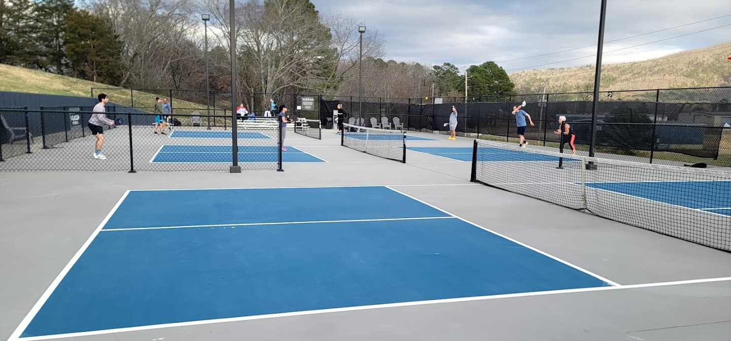 Vulcan Pickleball Park pickleball courts