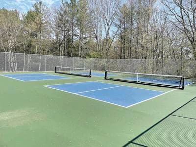 Johnny Eastman Park - Public Pickleball Courts pickleball courts