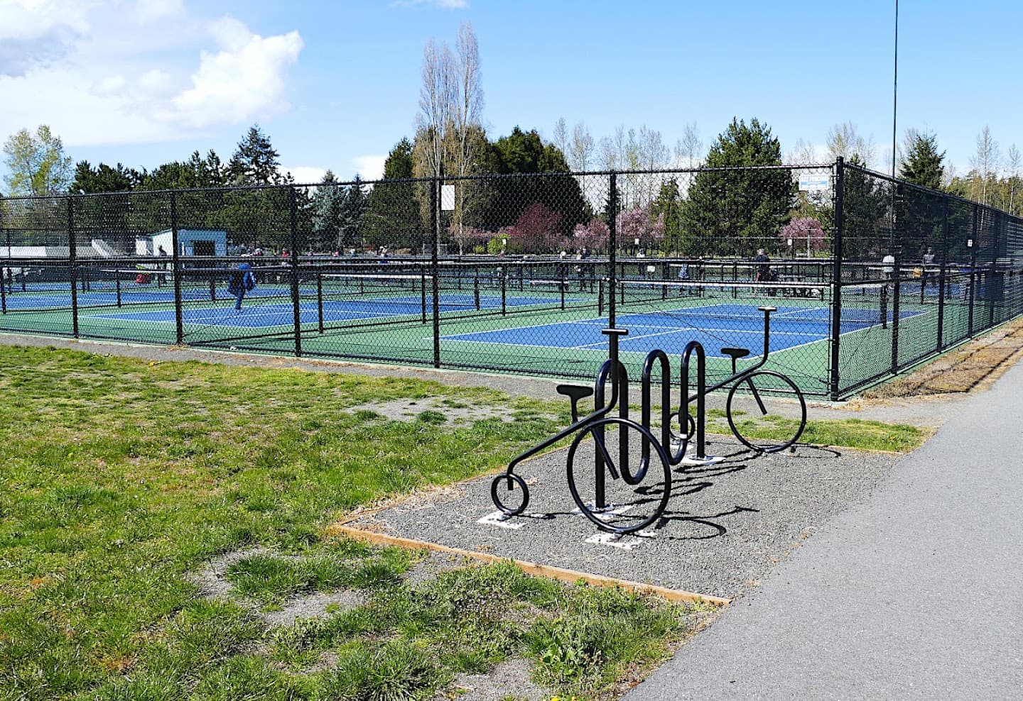 Carrie Blake Park pickleball courts