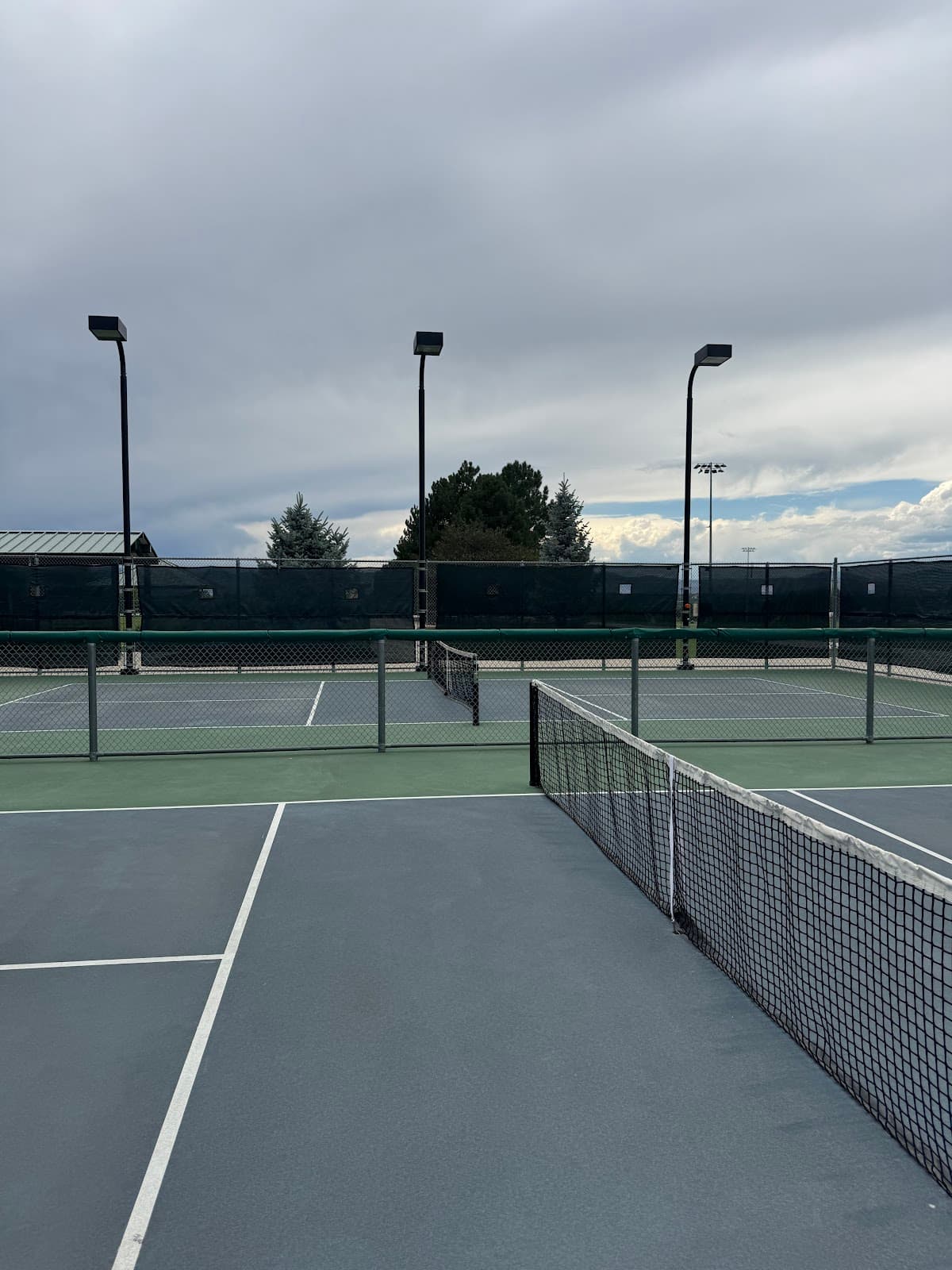 South Suburuban PR Pickleball Courts pickleball courts