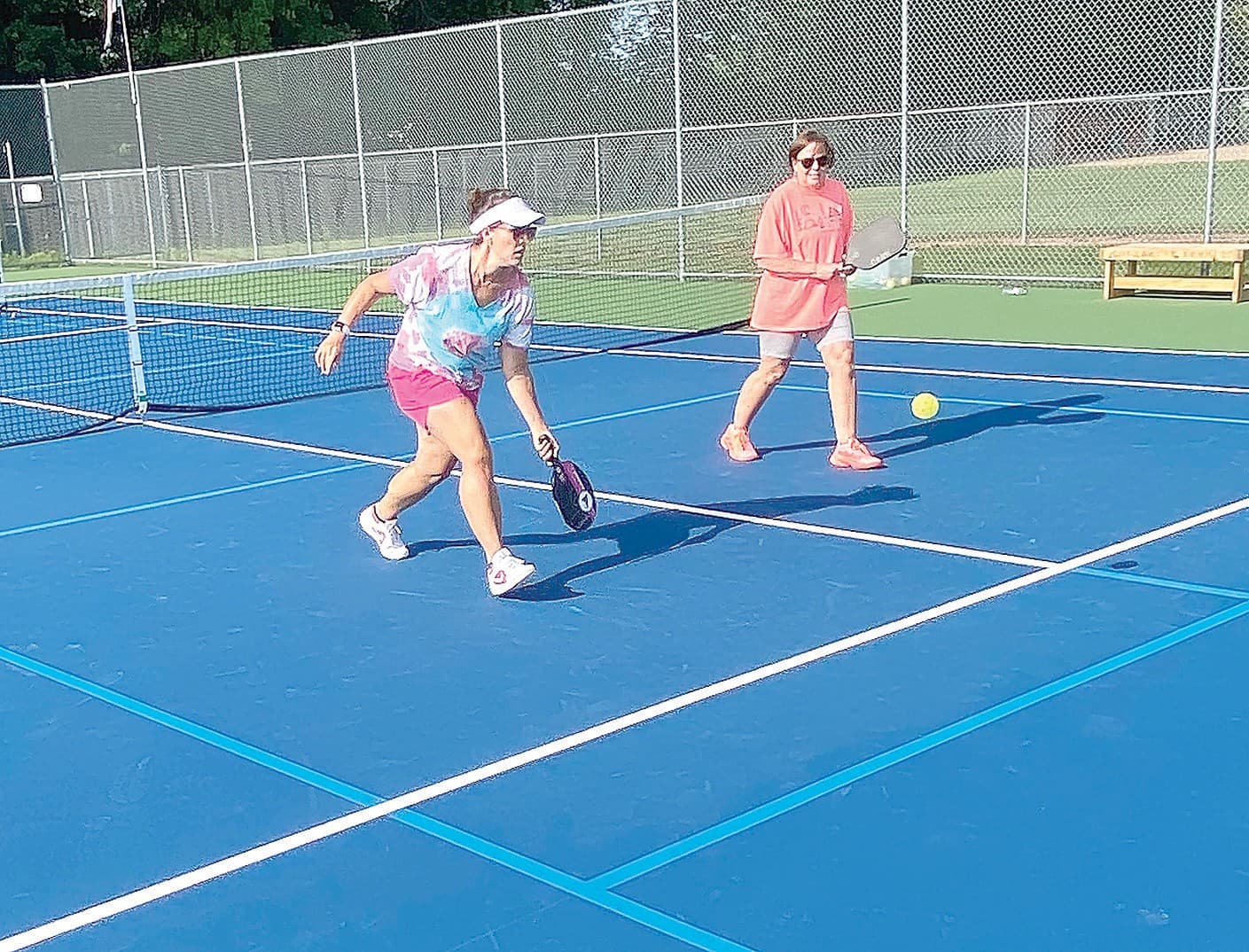 Chesaning Area Picklers pickleball courts