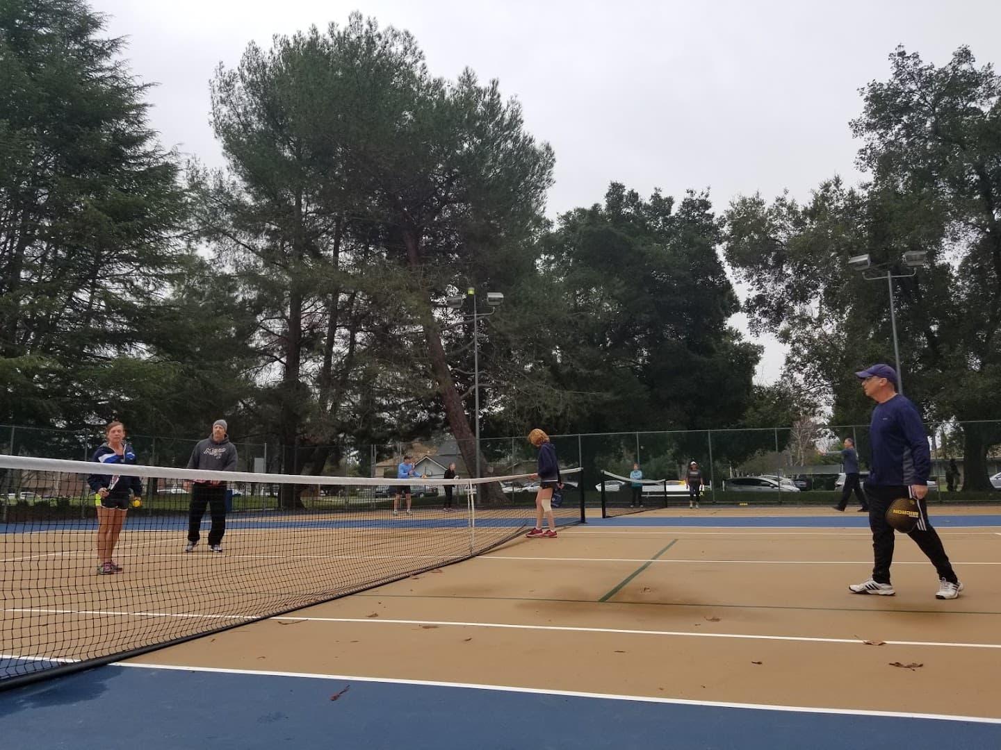 Lewis Park pickleball courts