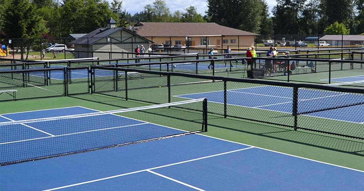 Mountain Run Lake Park pickleball courts