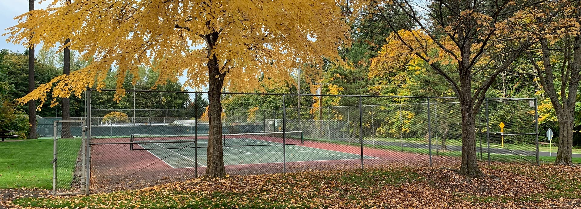 Scenic Hill Park pickleball courts