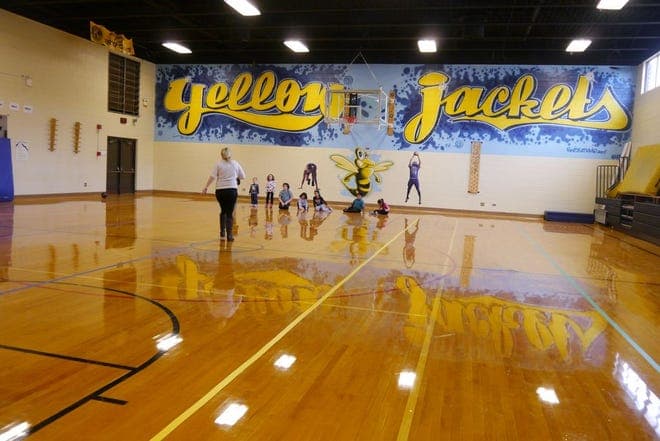 Edneyville Elementary pickleball courts