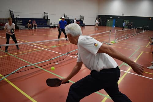 Wulf Recreation Center pickleball courts