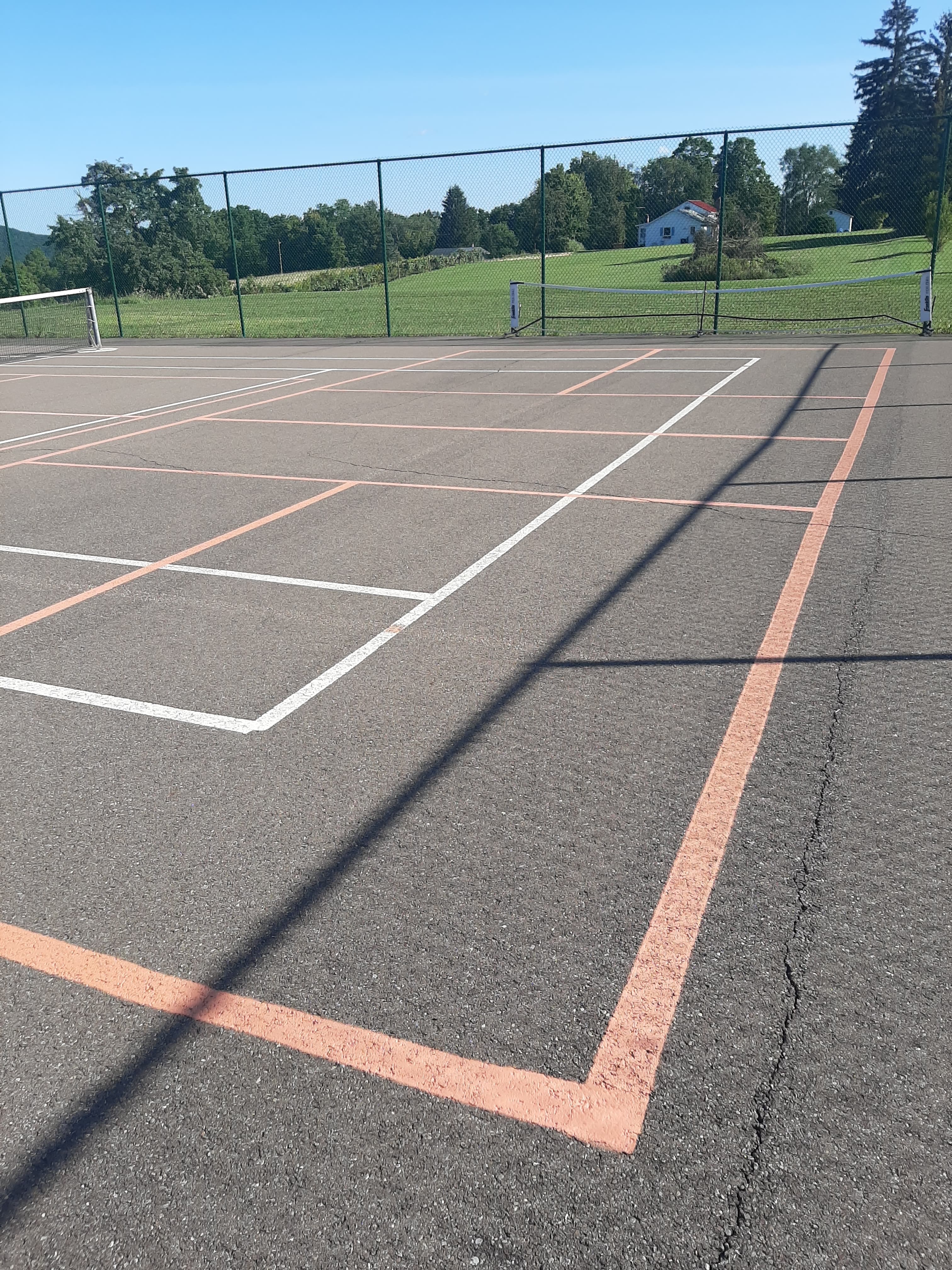 Pulteney Courts pickleball courts