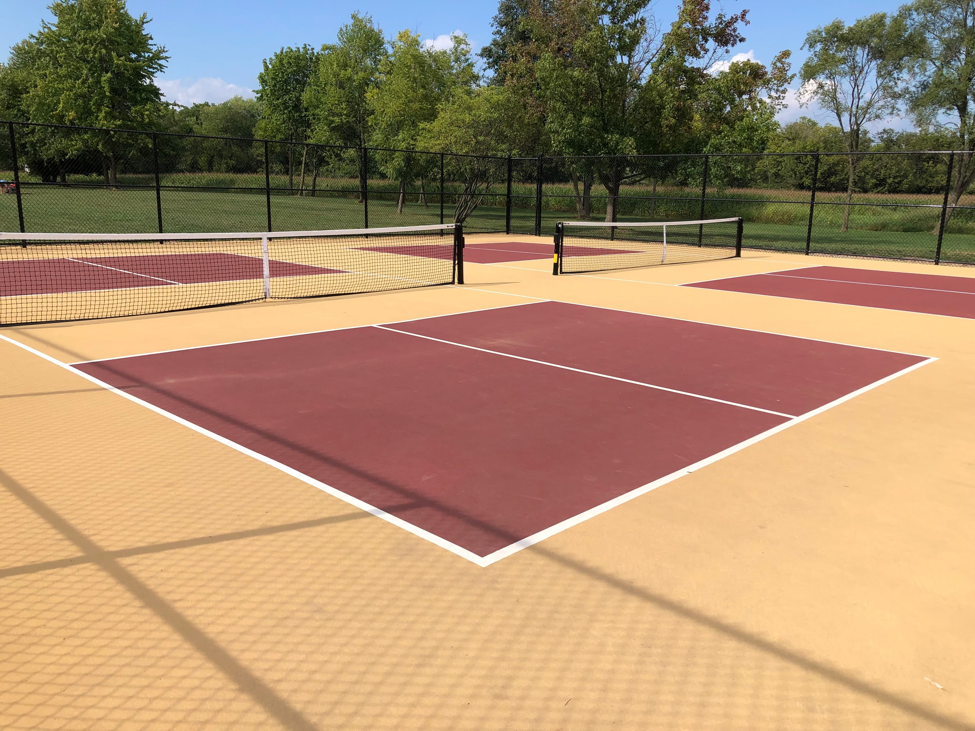 Dunedin Park pickleball courts