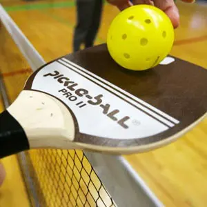 Brushy Creek - Cat Hollow Park pickleball courts