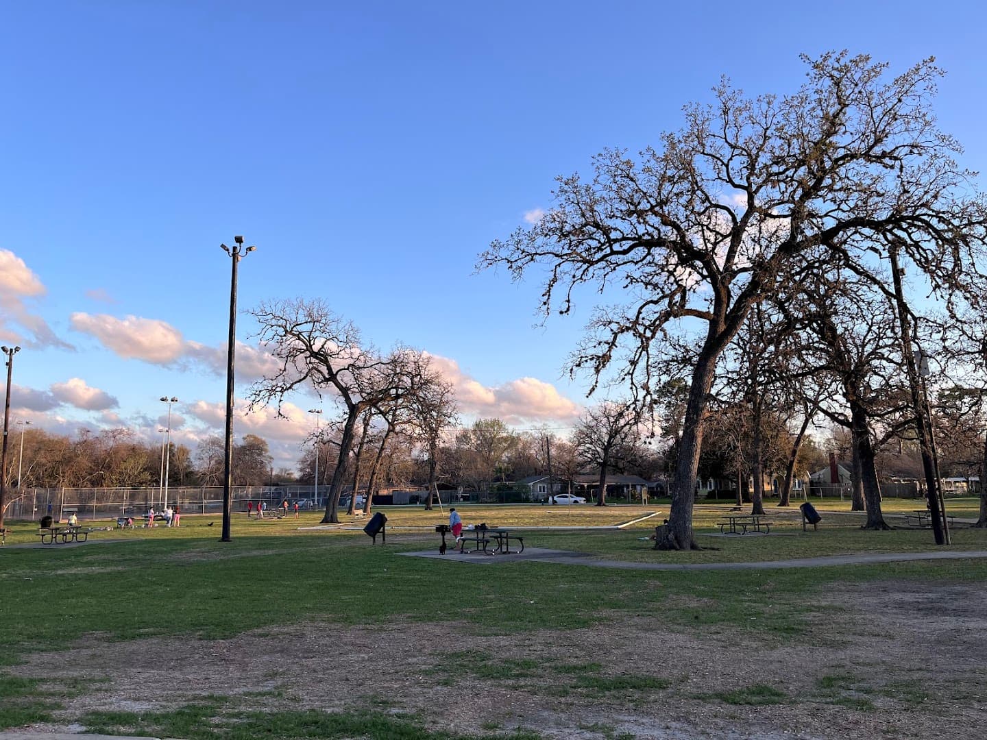 Charlton Park pickleball courts