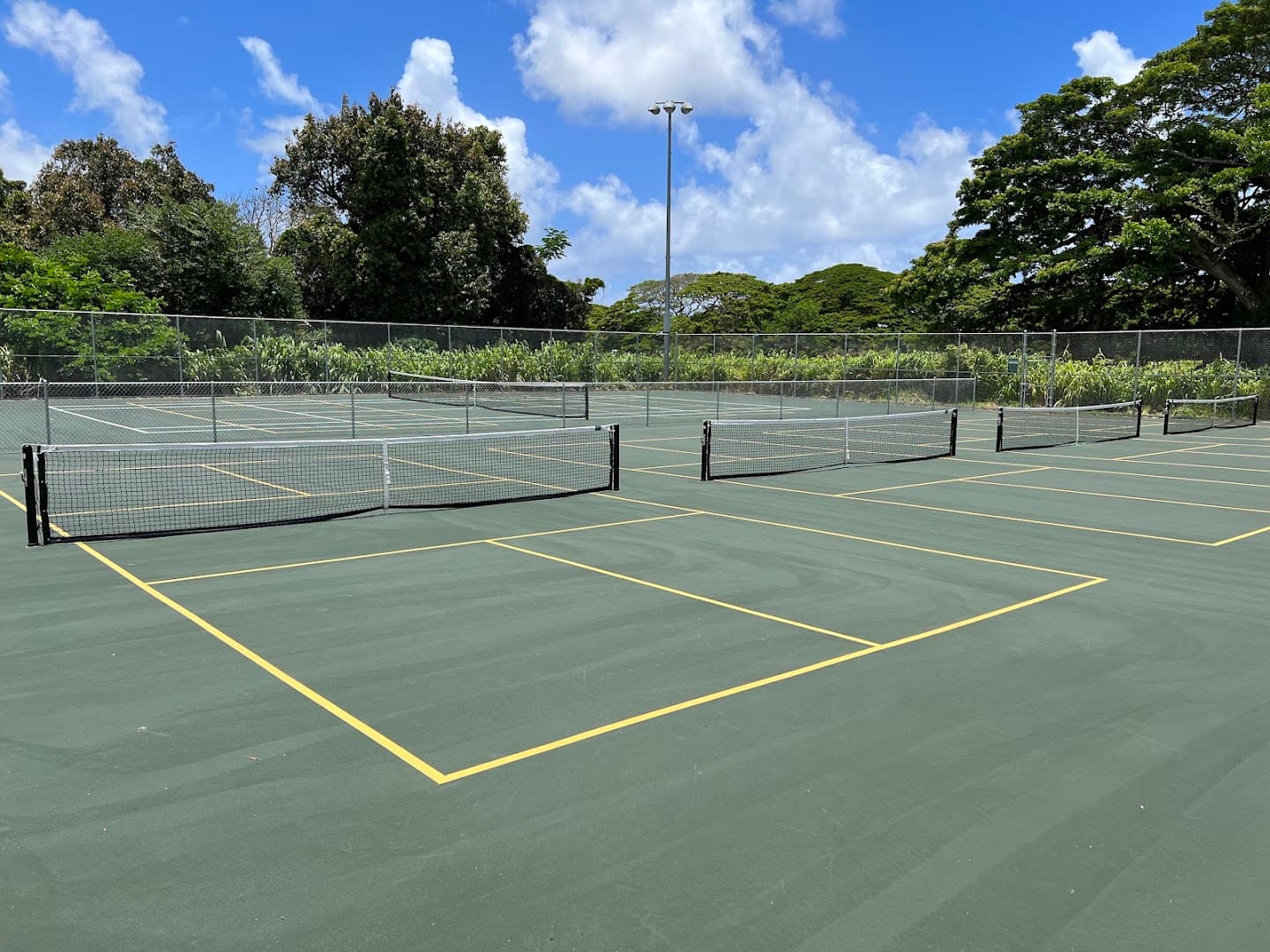 Anne Knudsen Park pickleball courts