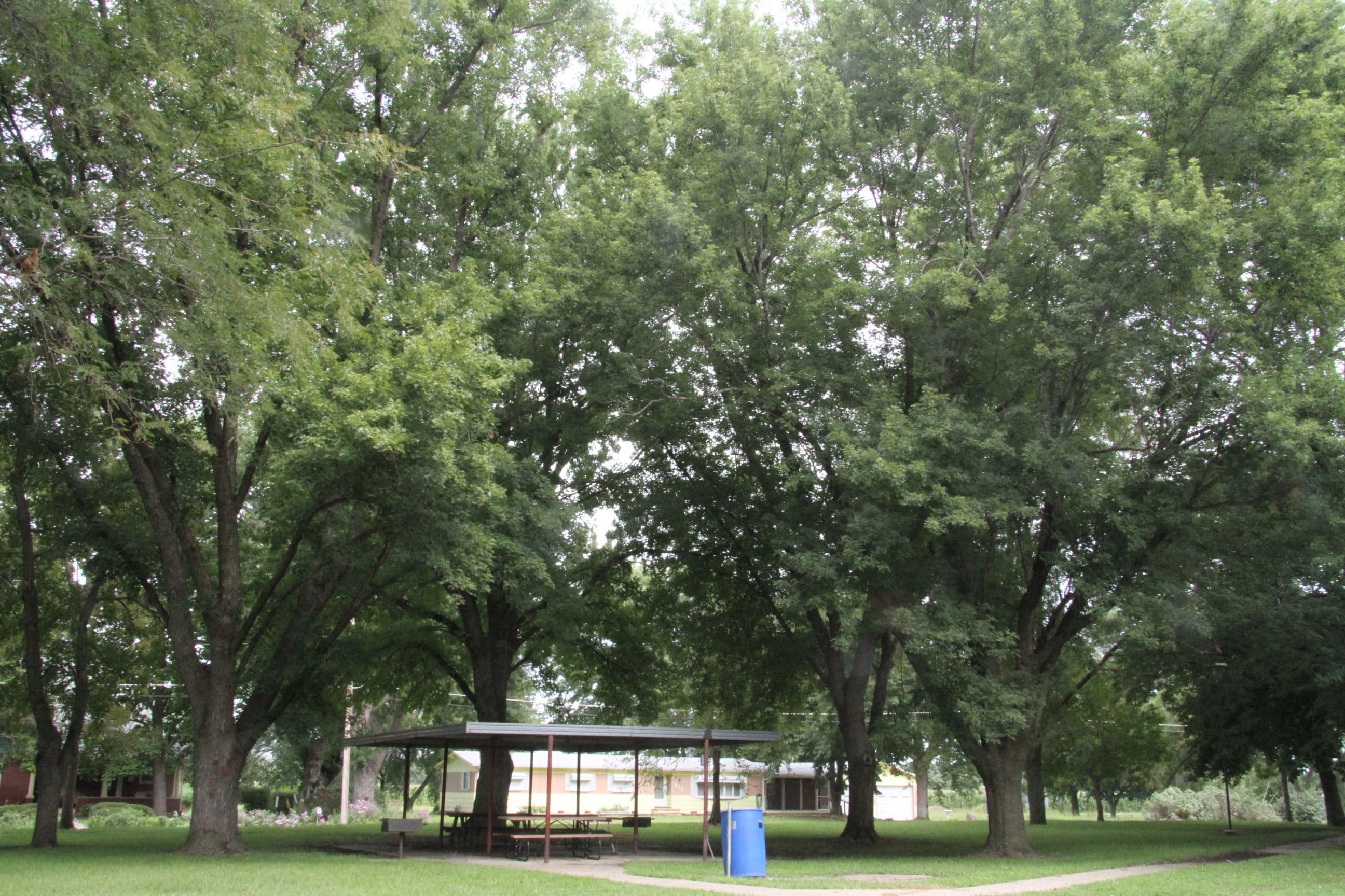 Willard Park pickleball courts