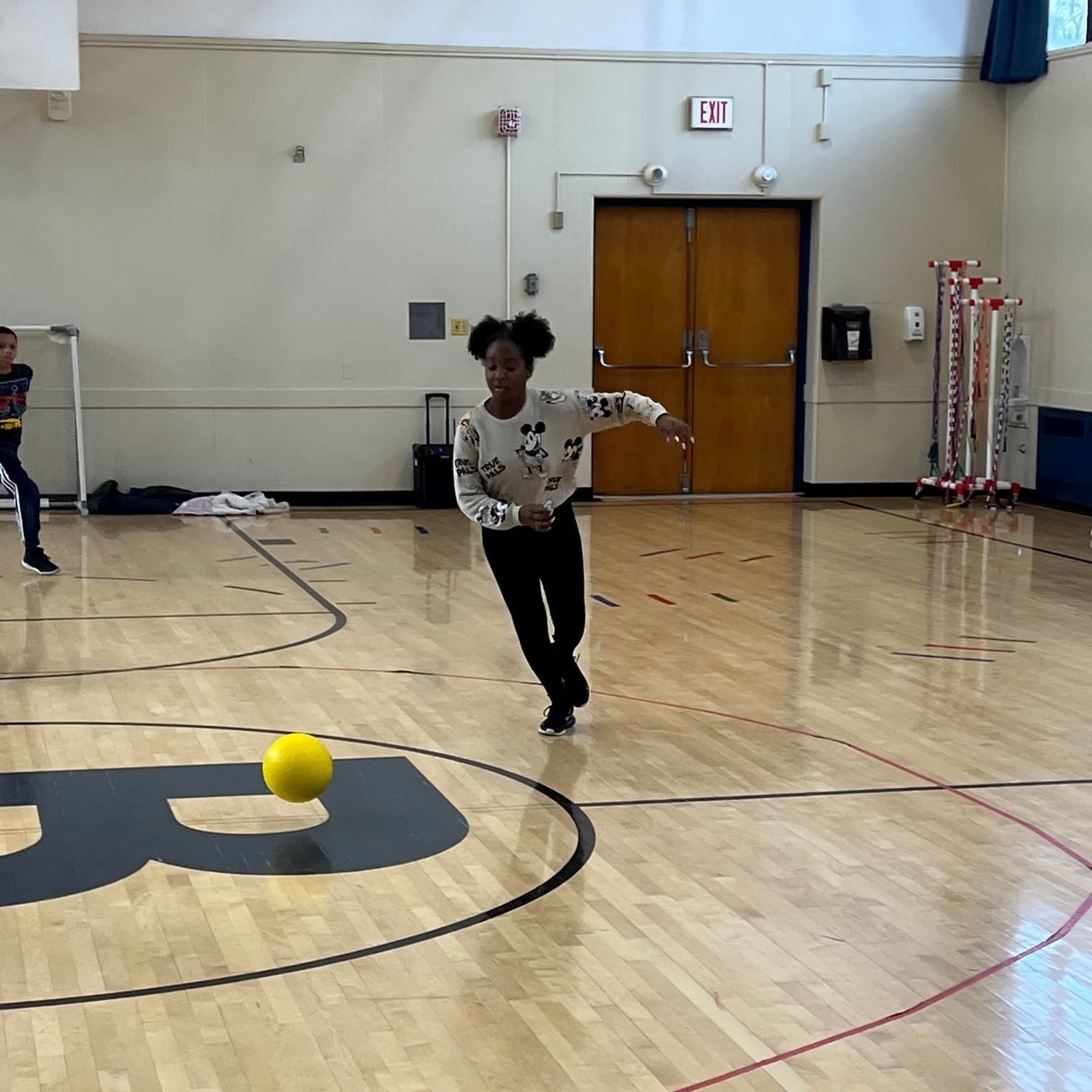 Baldwin Sr. High School pickleball courts