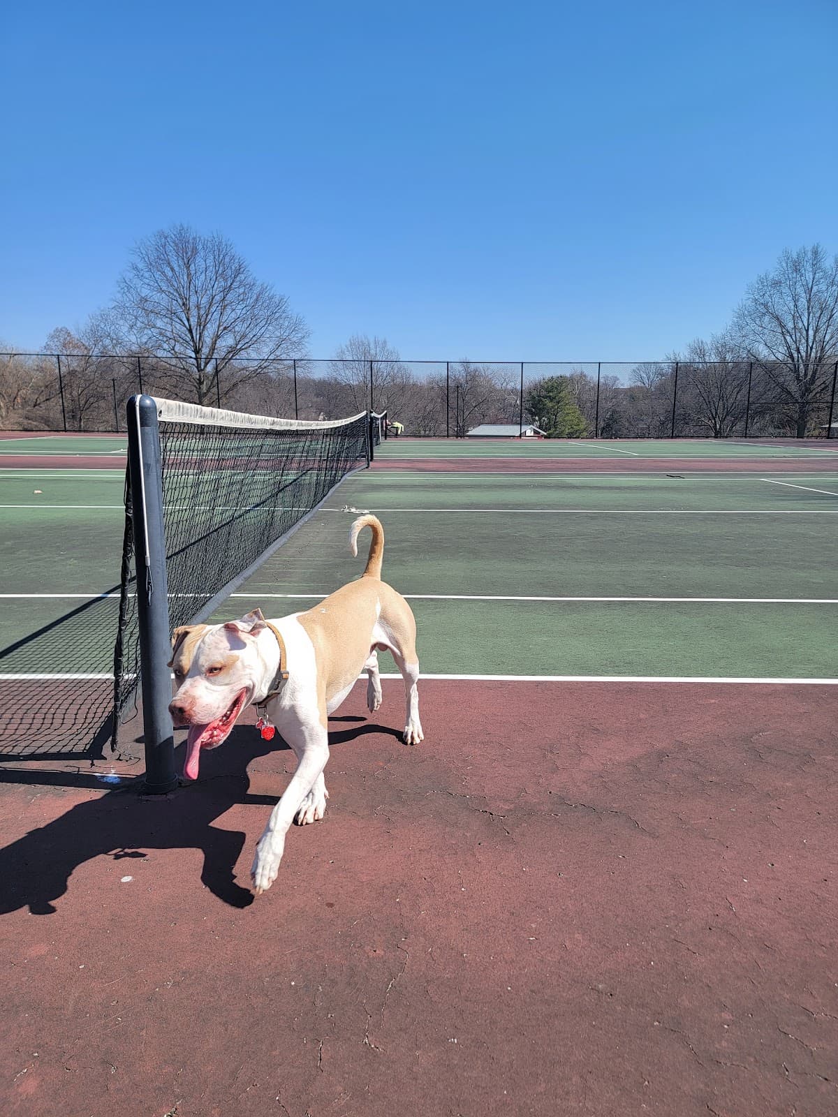 Bridgeway Park pickleball courts