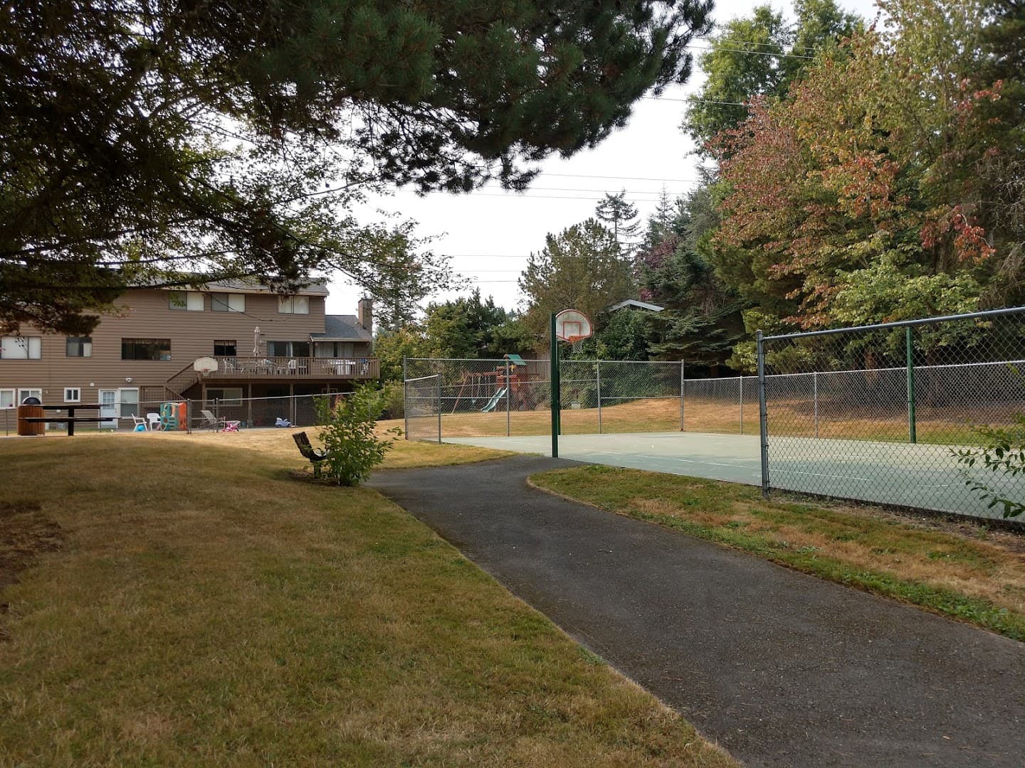 Conifer View Park pickleball courts
