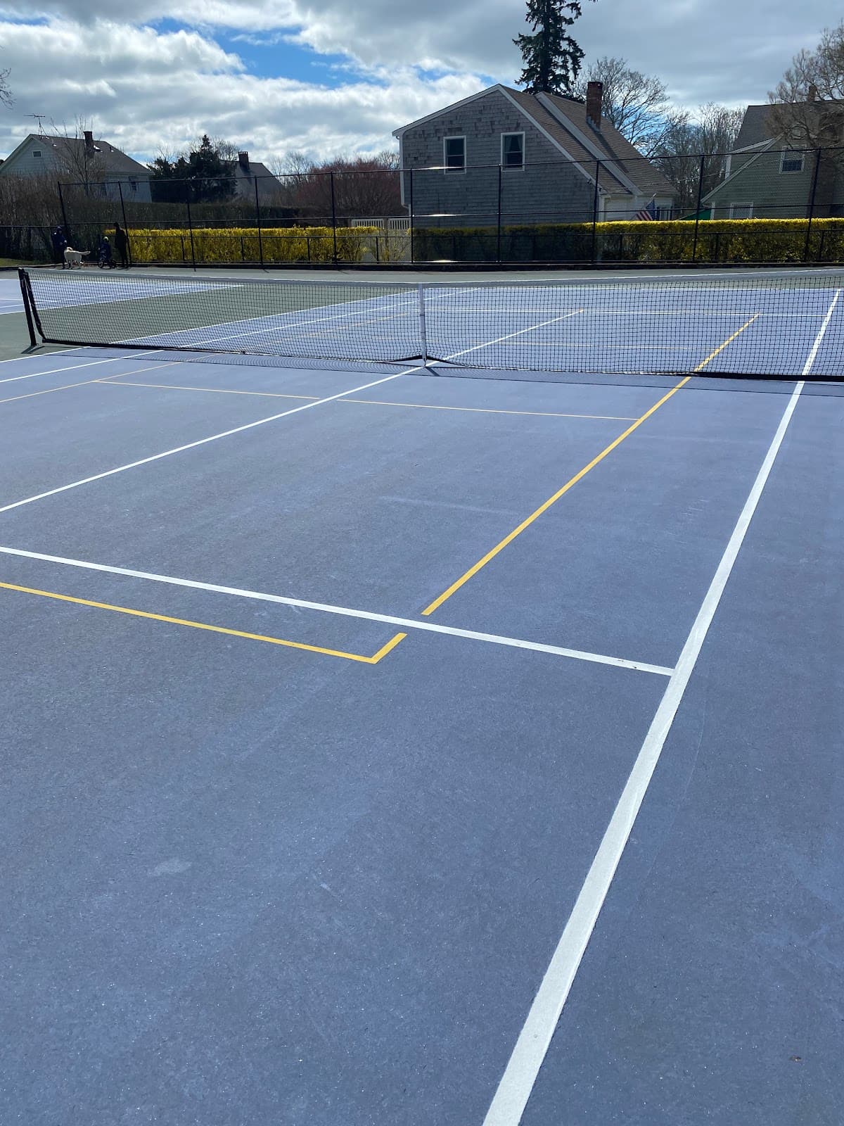 Vernon Park pickleball courts